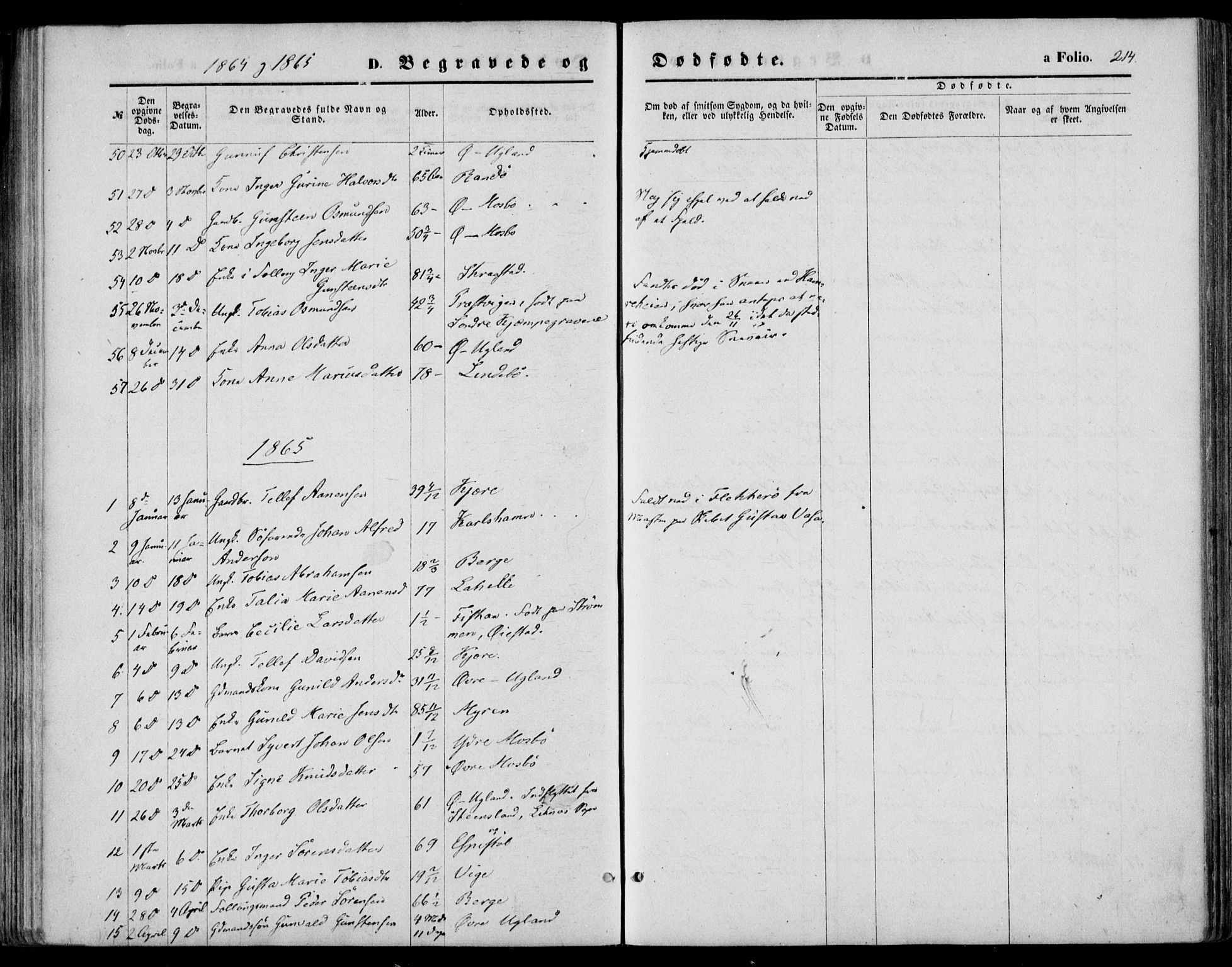 Oddernes sokneprestkontor, SAK/1111-0033/F/Fa/Faa/L0008: Ministerialbok nr. A 8, 1864-1880, s. 214