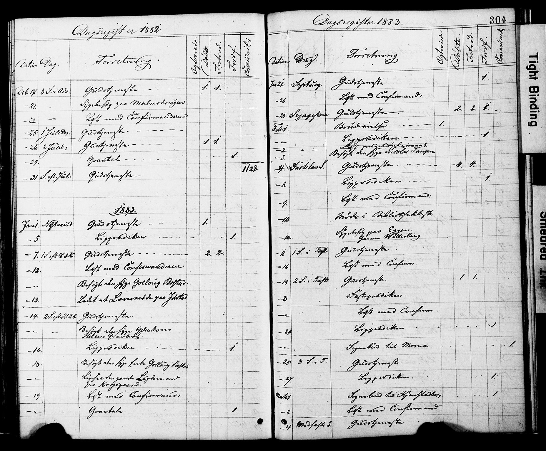 Ministerialprotokoller, klokkerbøker og fødselsregistre - Nord-Trøndelag, SAT/A-1458/749/L0473: Ministerialbok nr. 749A07, 1873-1887, s. 304