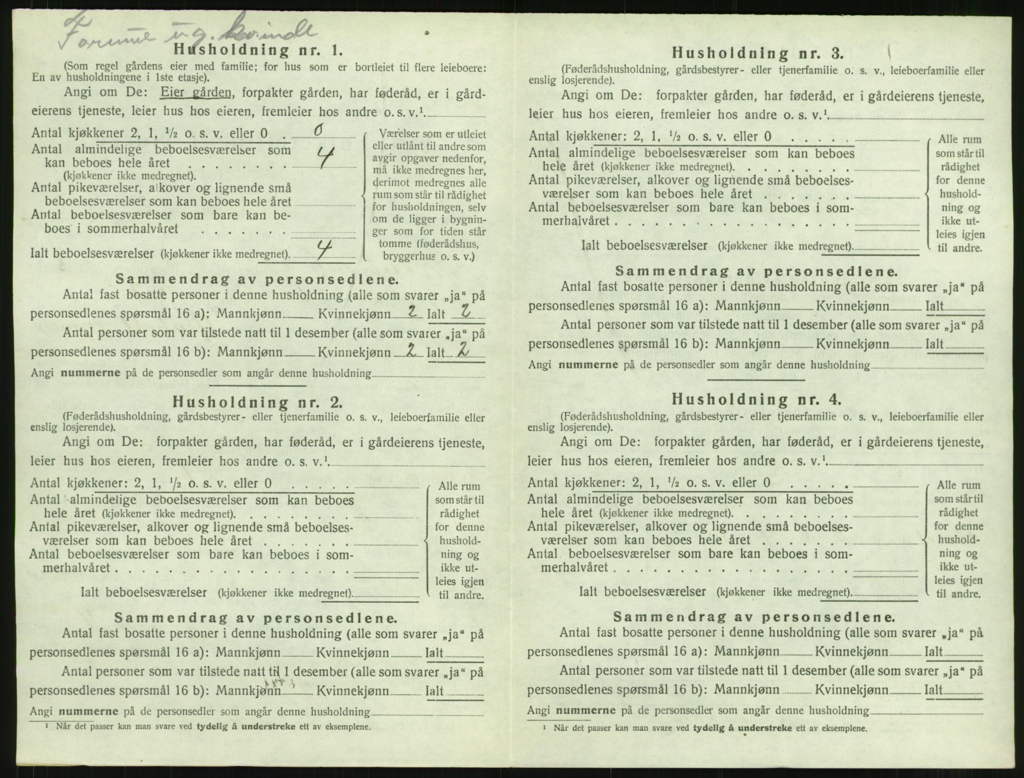 SAT, Folketelling 1920 for 1567 Rindal herred, 1920, s. 539