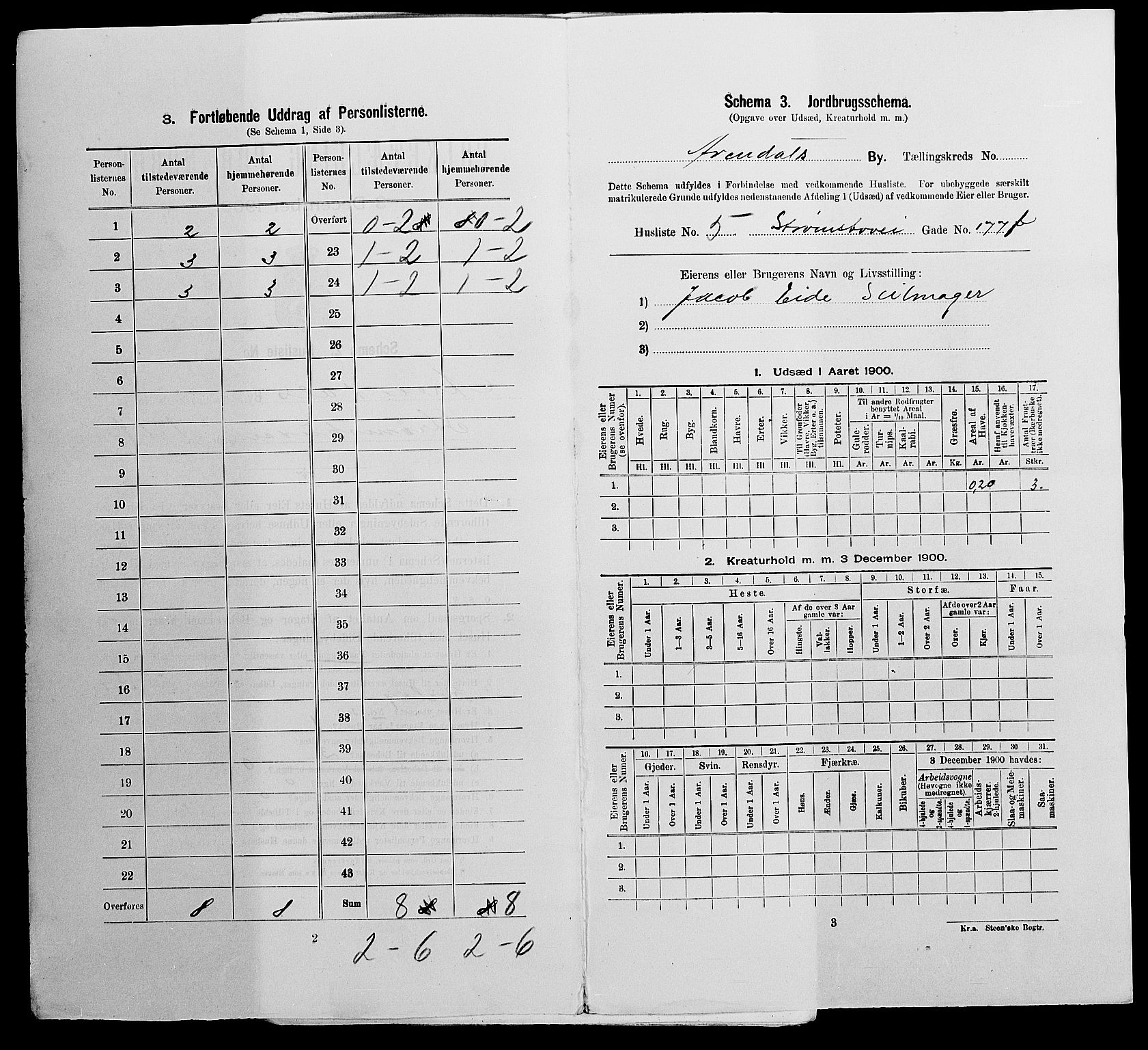 SAK, Folketelling 1900 for 0903 Arendal kjøpstad, 1900, s. 1733