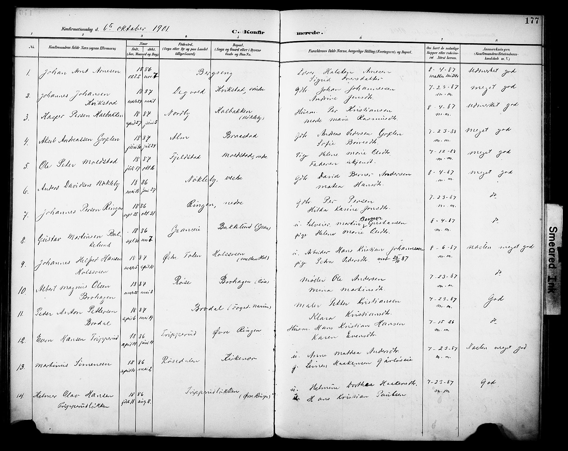Vestre Toten prestekontor, AV/SAH-PREST-108/H/Ha/Haa/L0013: Ministerialbok nr. 13, 1895-1911, s. 177