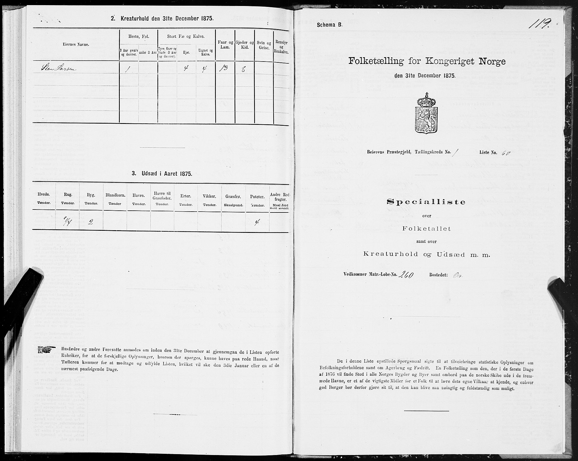 SAT, Folketelling 1875 for 1839P Beiarn prestegjeld, 1875, s. 1119