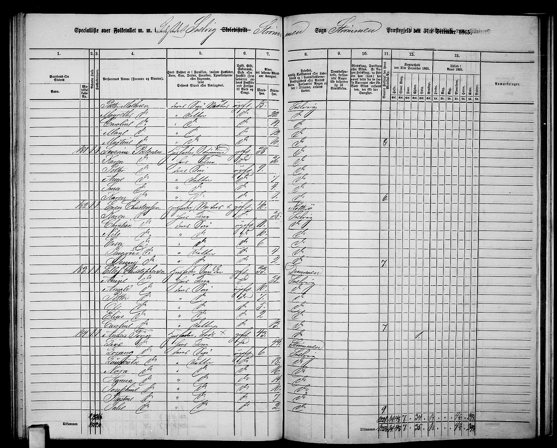 RA, Folketelling 1865 for 0711P Strømm prestegjeld, 1865, s. 105