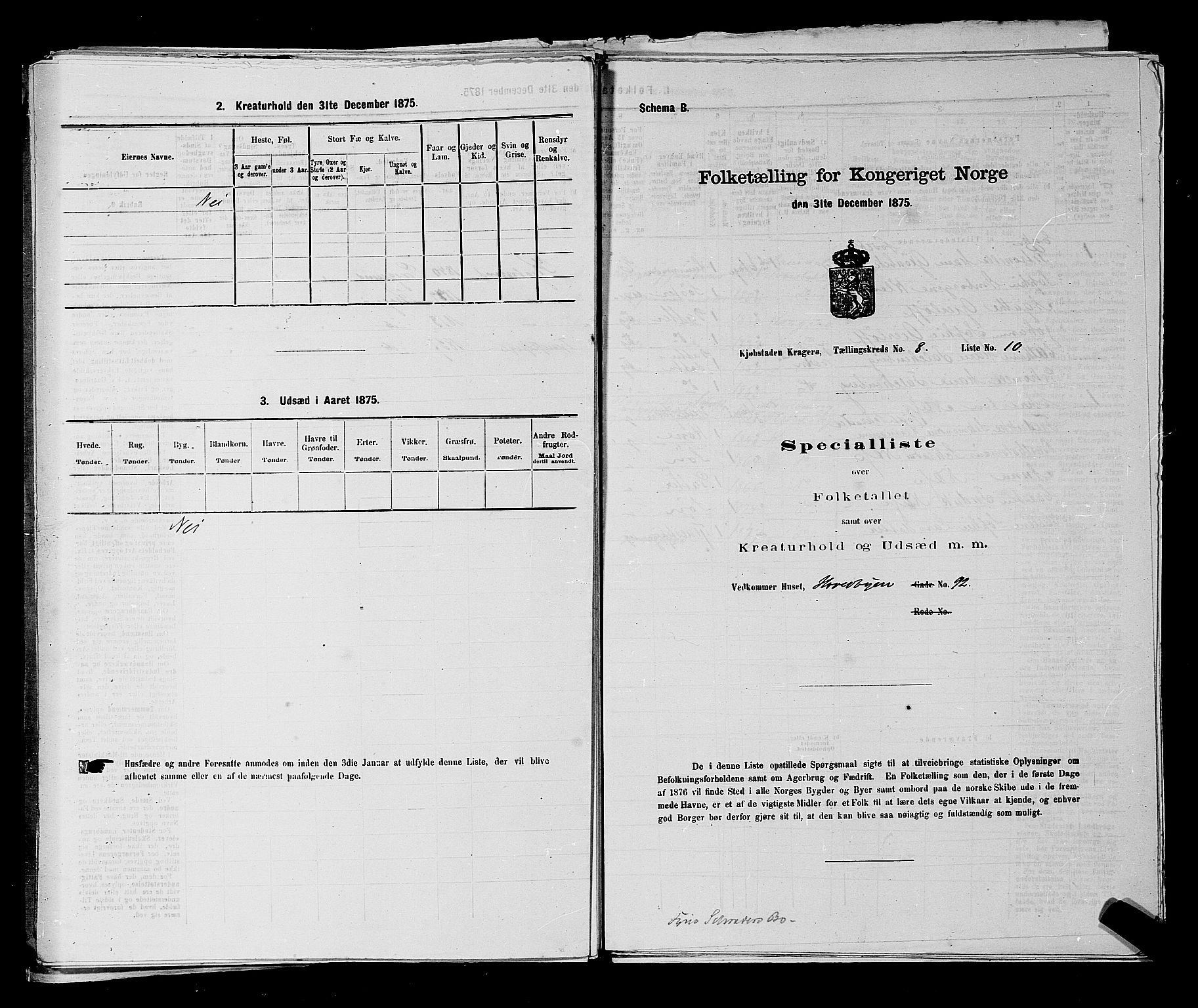 SAKO, Folketelling 1875 for 0801P Kragerø prestegjeld, 1875, s. 191