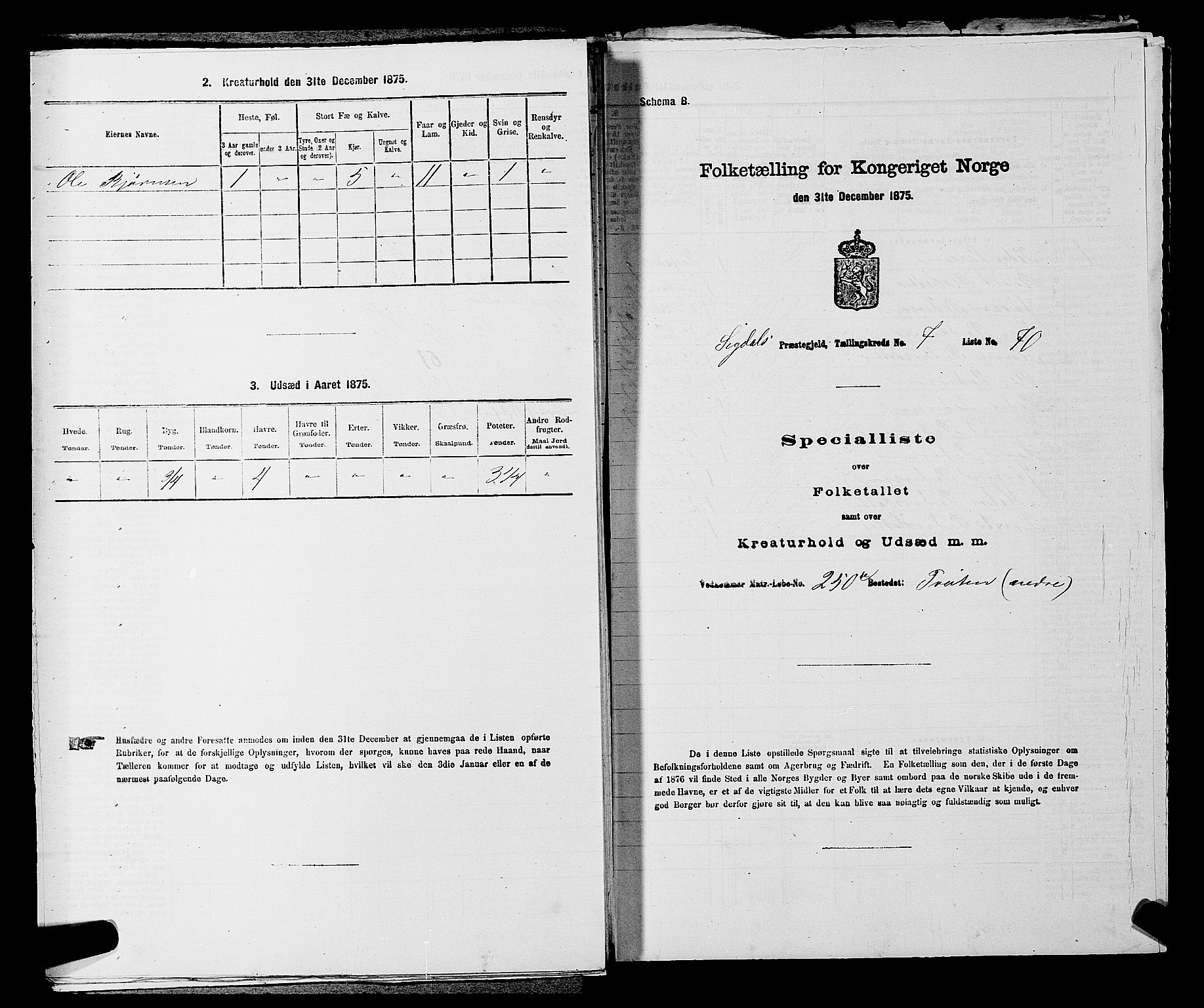 SAKO, Folketelling 1875 for 0621P Sigdal prestegjeld, 1875, s. 1136