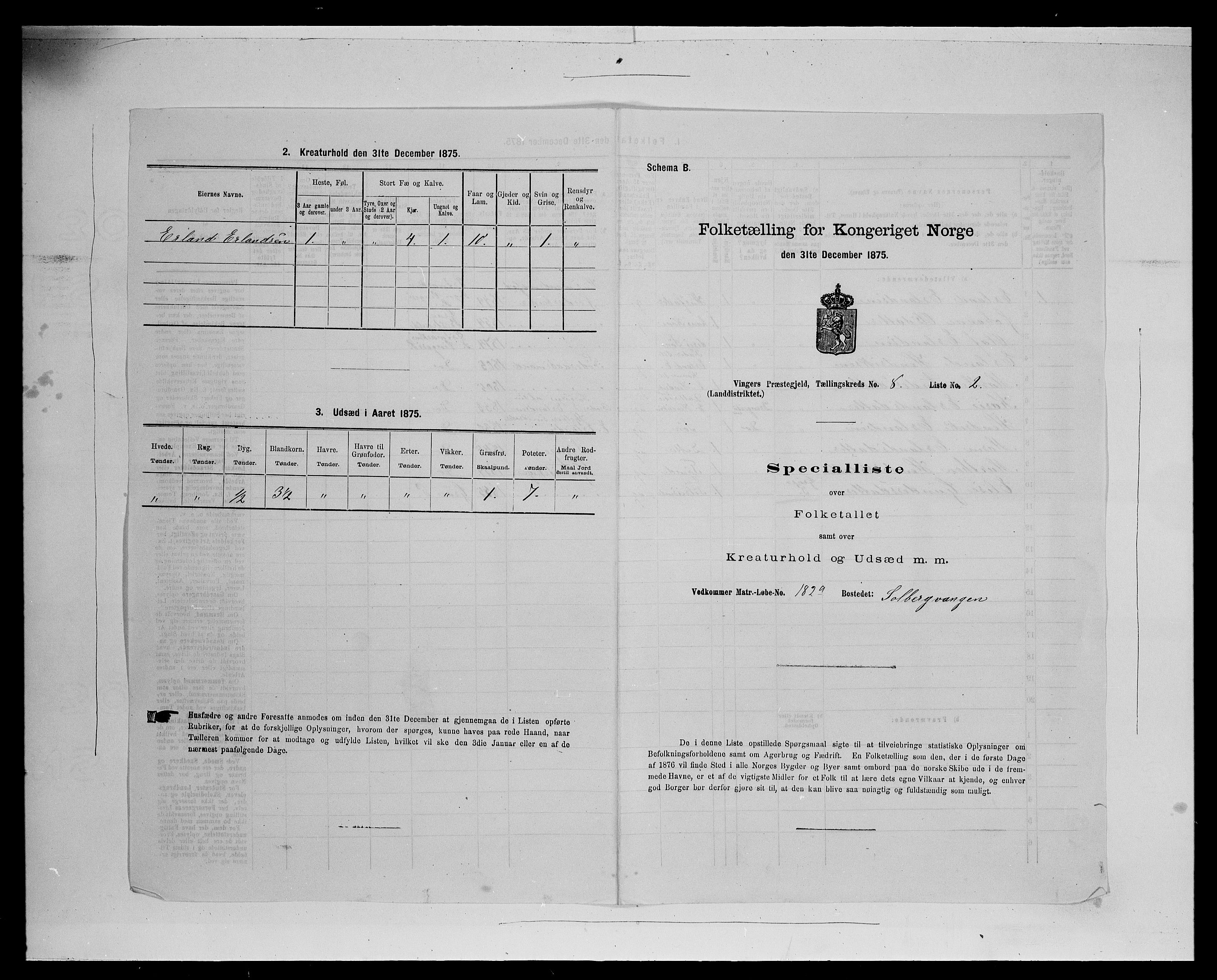 SAH, Folketelling 1875 for 0421L Vinger prestegjeld, Vinger sokn og Austmarka sokn, 1875, s. 1242