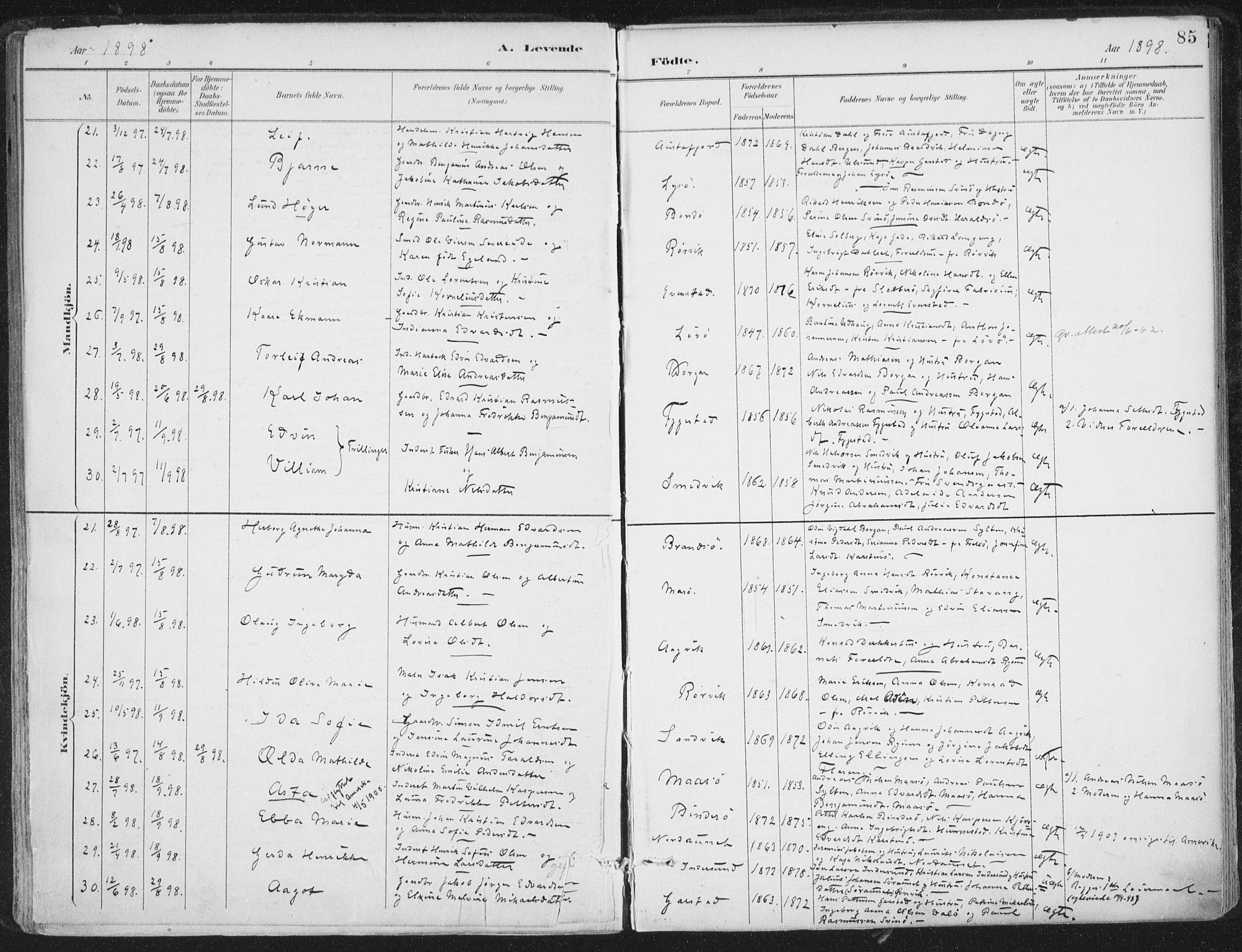 Ministerialprotokoller, klokkerbøker og fødselsregistre - Nord-Trøndelag, SAT/A-1458/786/L0687: Ministerialbok nr. 786A03, 1888-1898, s. 85