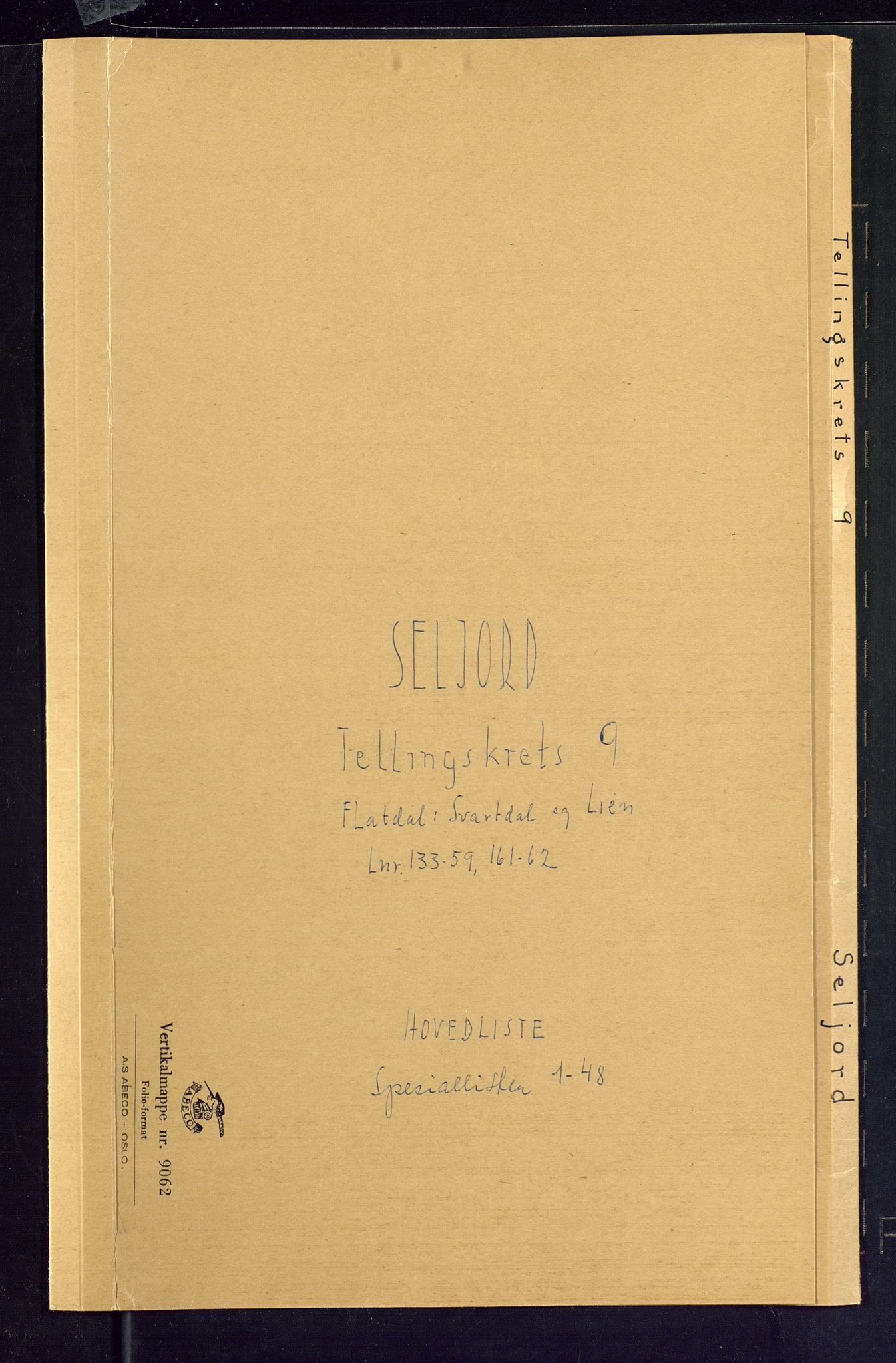 SAKO, Folketelling 1875 for 0828P Seljord prestegjeld, 1875, s. 34