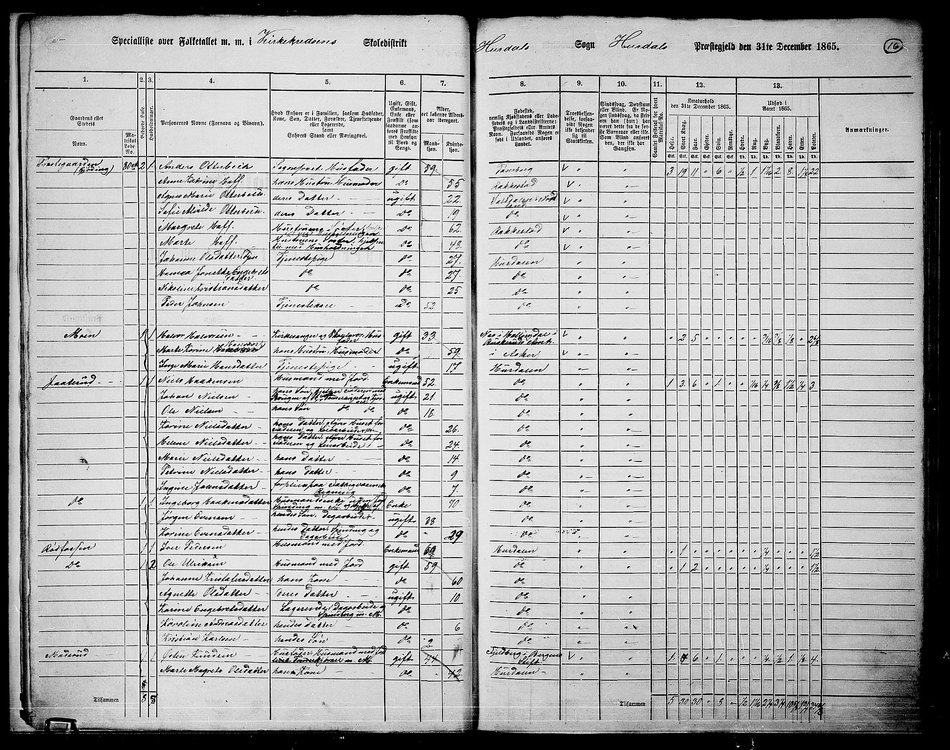 RA, Folketelling 1865 for 0239P Hurdal prestegjeld, 1865, s. 13