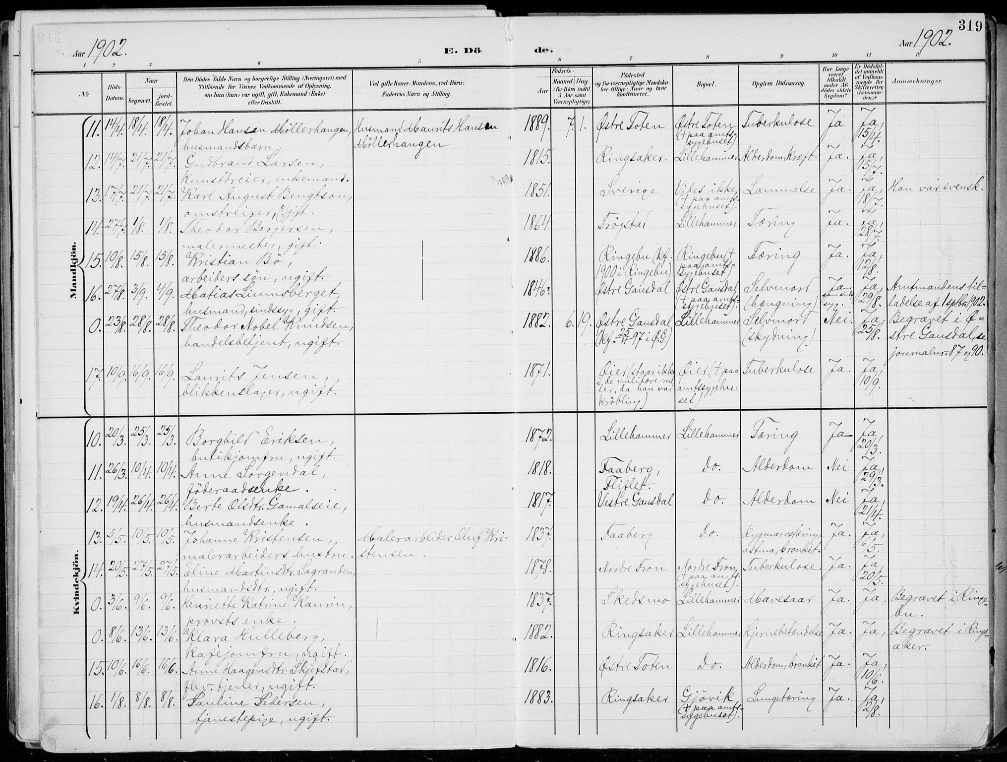 Lillehammer prestekontor, AV/SAH-PREST-088/H/Ha/Haa/L0001: Ministerialbok nr. 1, 1901-1916, s. 319