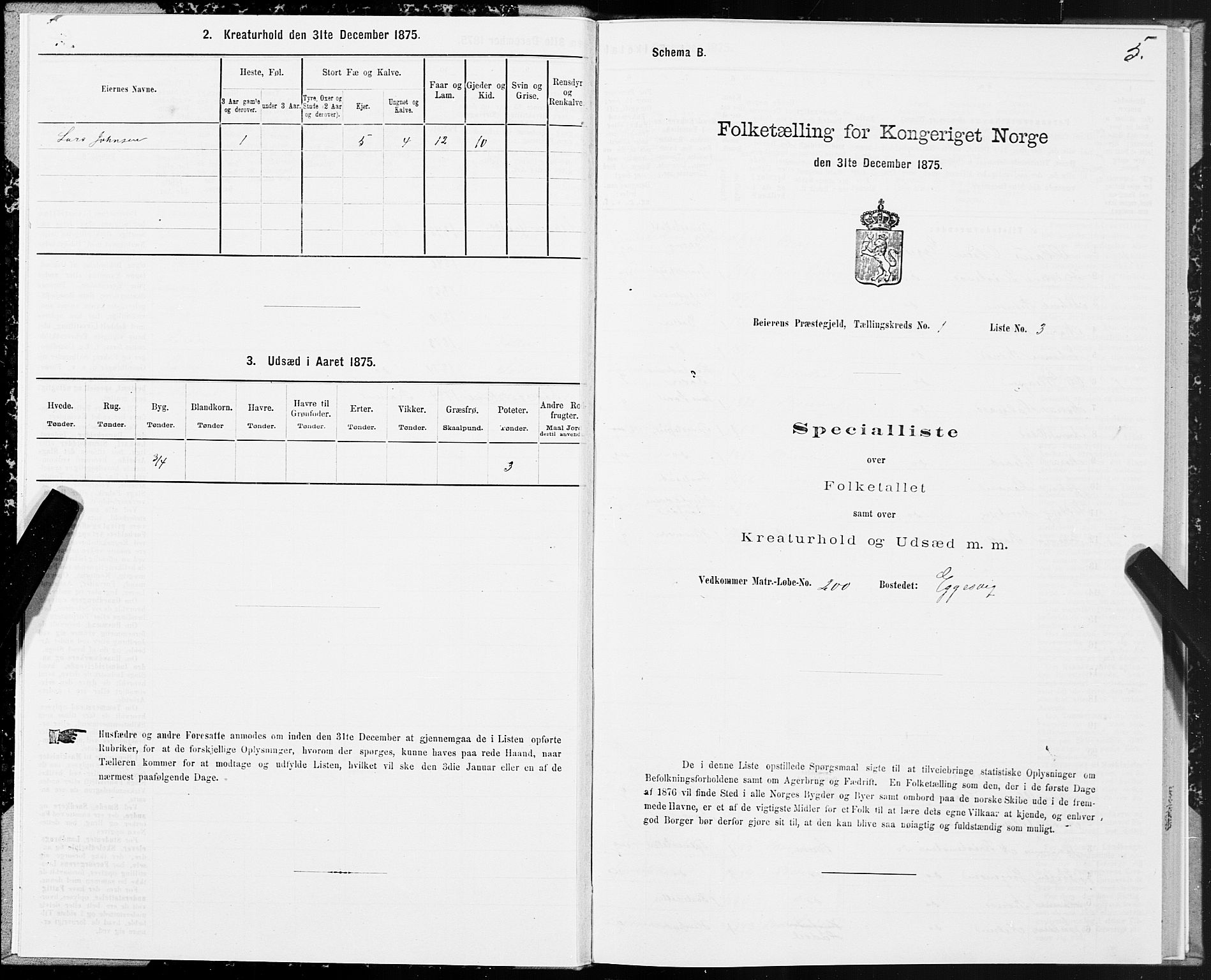SAT, Folketelling 1875 for 1839P Beiarn prestegjeld, 1875, s. 1005