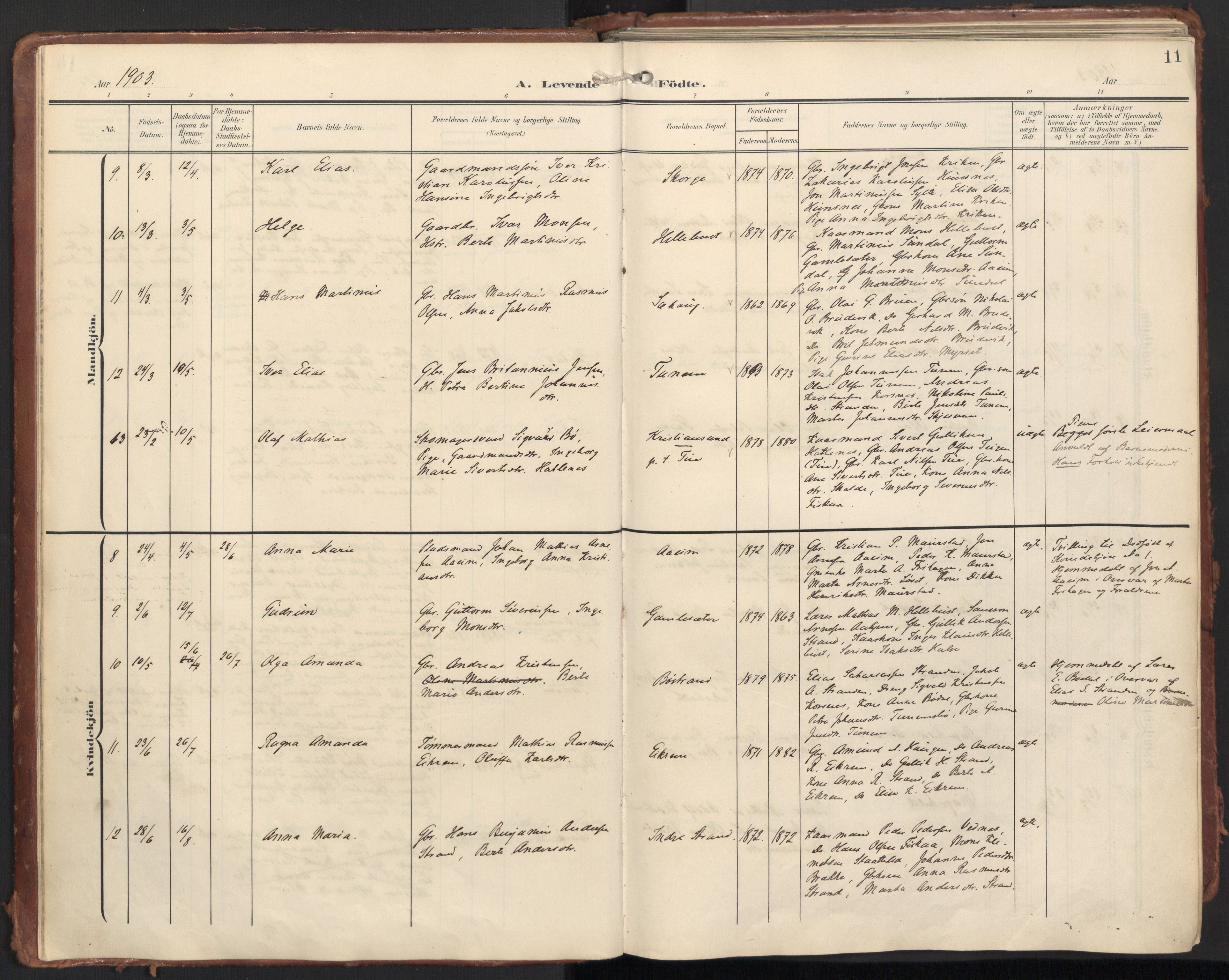 Ministerialprotokoller, klokkerbøker og fødselsregistre - Møre og Romsdal, AV/SAT-A-1454/501/L0011: Ministerialbok nr. 501A11, 1902-1919, s. 11