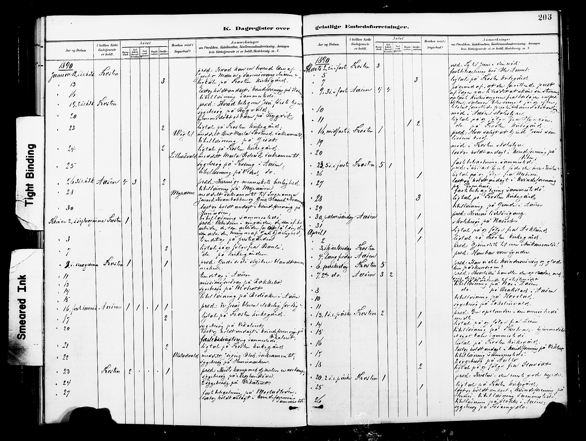 Ministerialprotokoller, klokkerbøker og fødselsregistre - Nord-Trøndelag, SAT/A-1458/713/L0121: Ministerialbok nr. 713A10, 1888-1898, s. 203