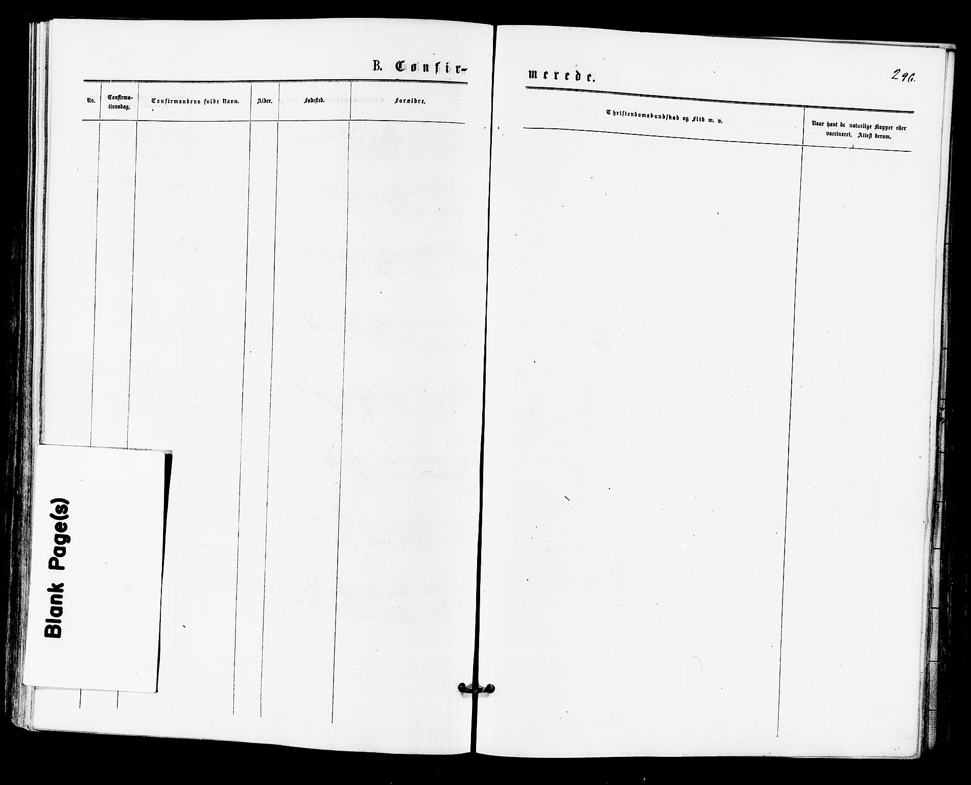 Lier kirkebøker, SAKO/A-230/F/Fa/L0014: Ministerialbok nr. I 14, 1875-1882, s. 296