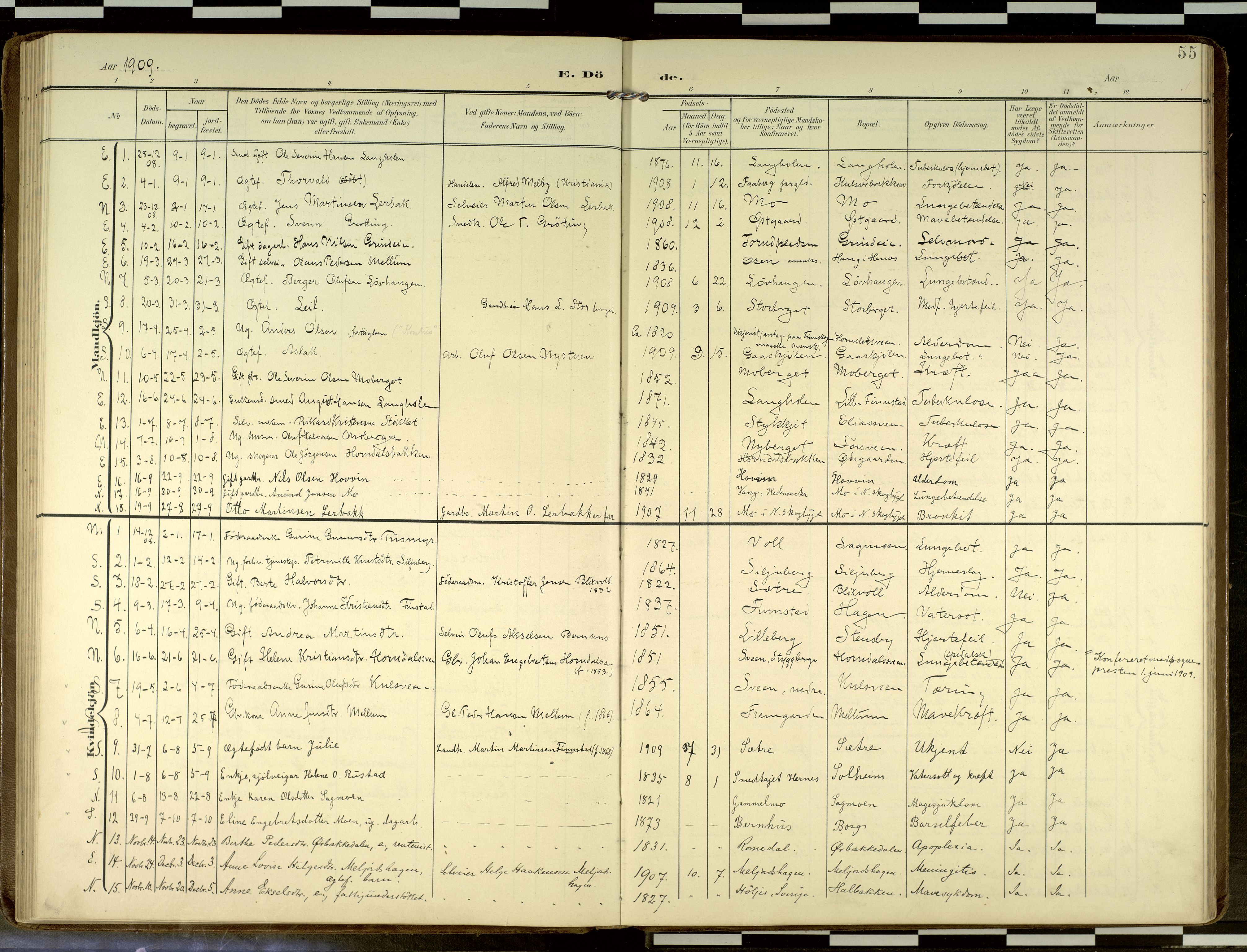 Elverum prestekontor, SAH/PREST-044/H/Ha/Haa/L0019: Ministerialbok nr. 19, 1903-1926, s. 55