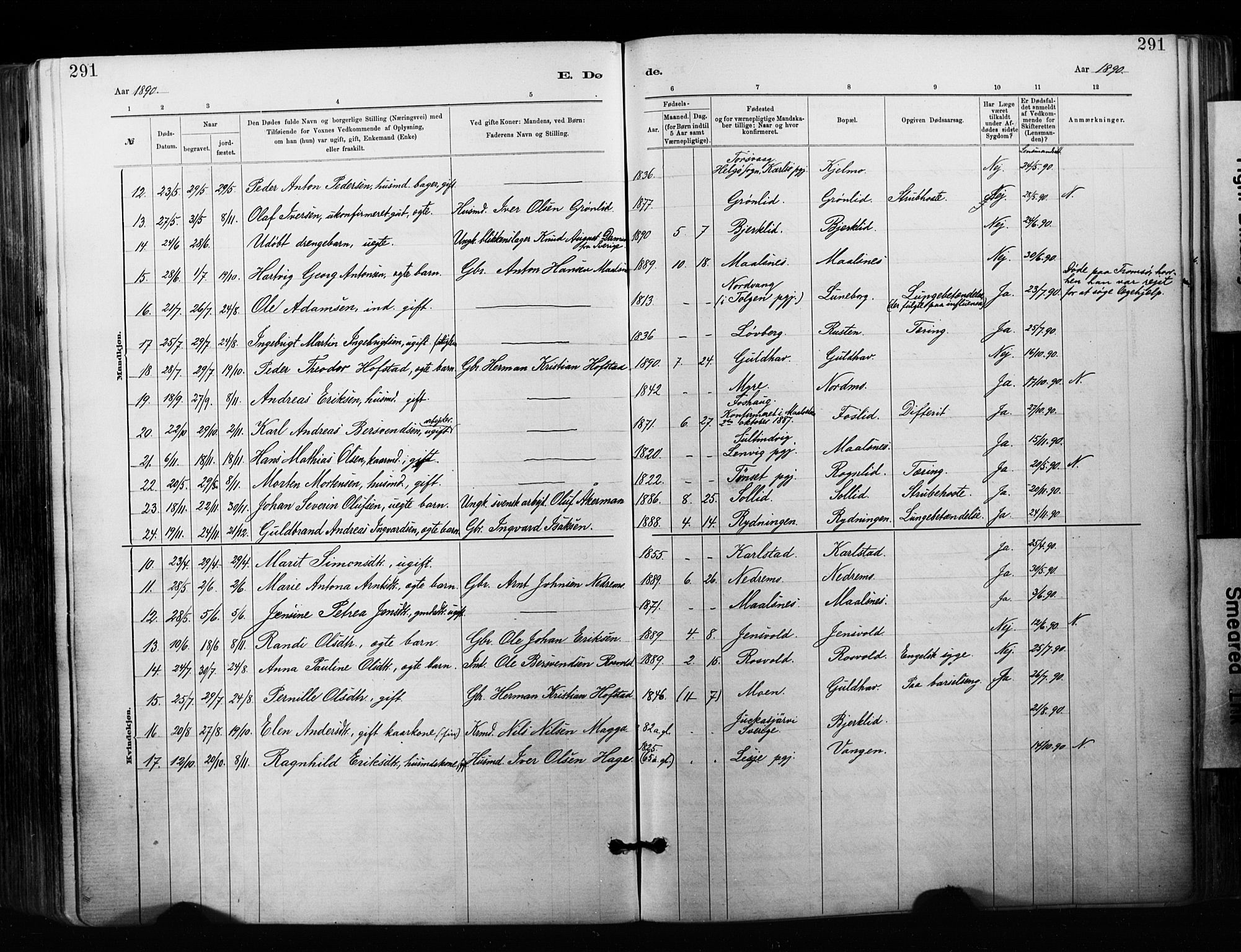 Målselv sokneprestembete, AV/SATØ-S-1311/G/Ga/Gaa/L0007kirke: Ministerialbok nr. 7, 1884-1903, s. 291