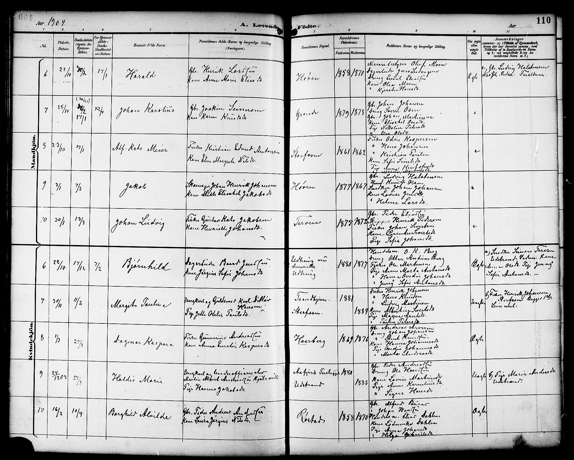 Ministerialprotokoller, klokkerbøker og fødselsregistre - Sør-Trøndelag, AV/SAT-A-1456/659/L0746: Klokkerbok nr. 659C03, 1893-1912, s. 110