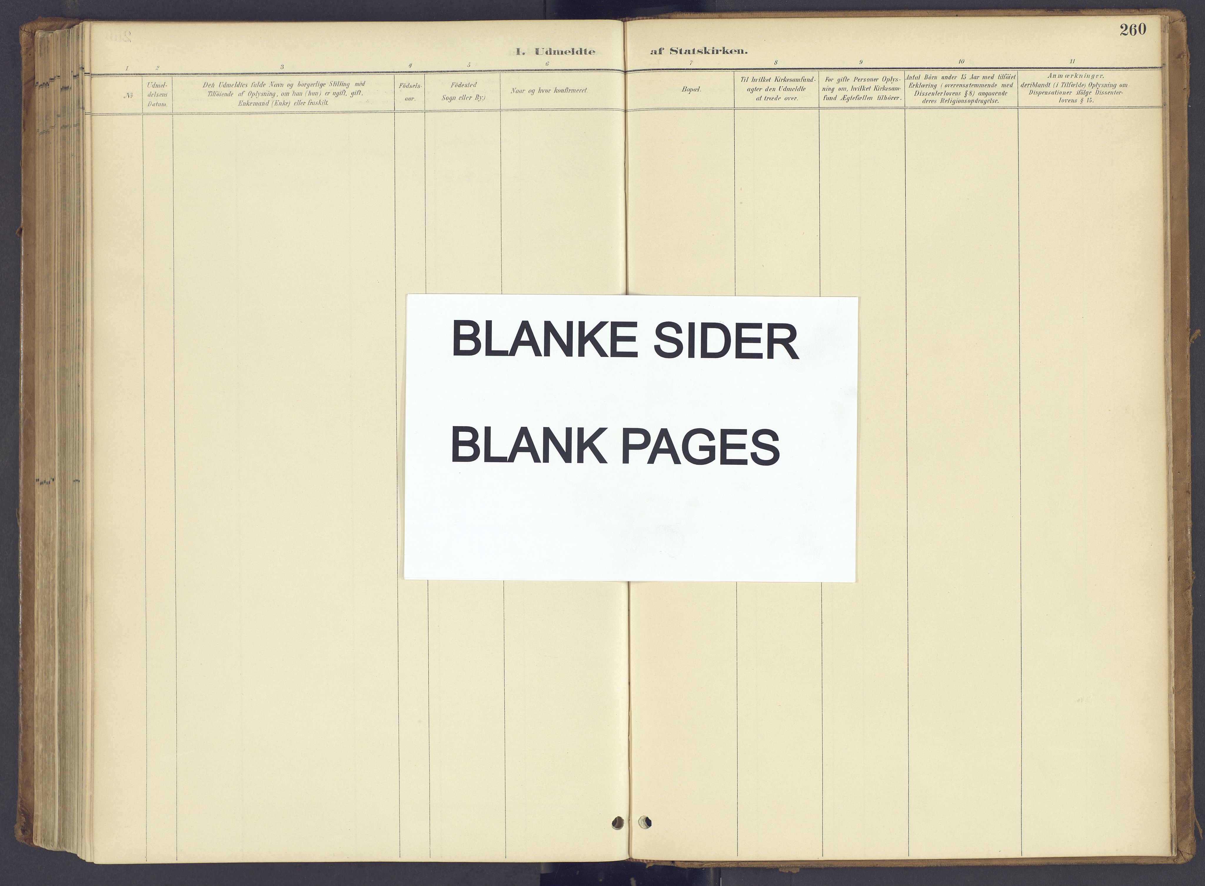 Søndre Land prestekontor, AV/SAH-PREST-122/K/L0006: Ministerialbok nr. 6, 1895-1904, s. 260