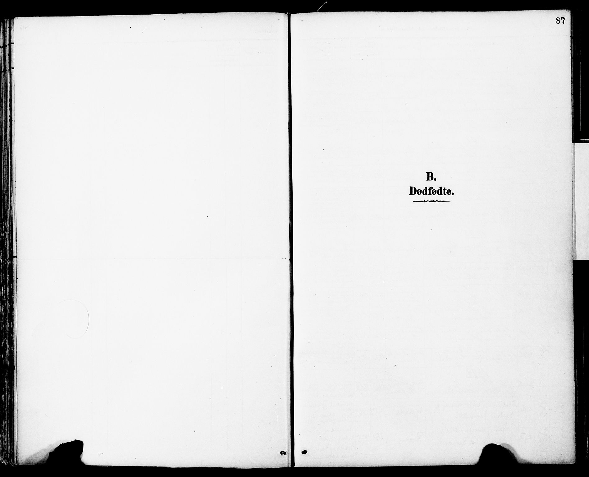 Ministerialprotokoller, klokkerbøker og fødselsregistre - Sør-Trøndelag, AV/SAT-A-1456/681/L0935: Ministerialbok nr. 681A13, 1890-1898, s. 87