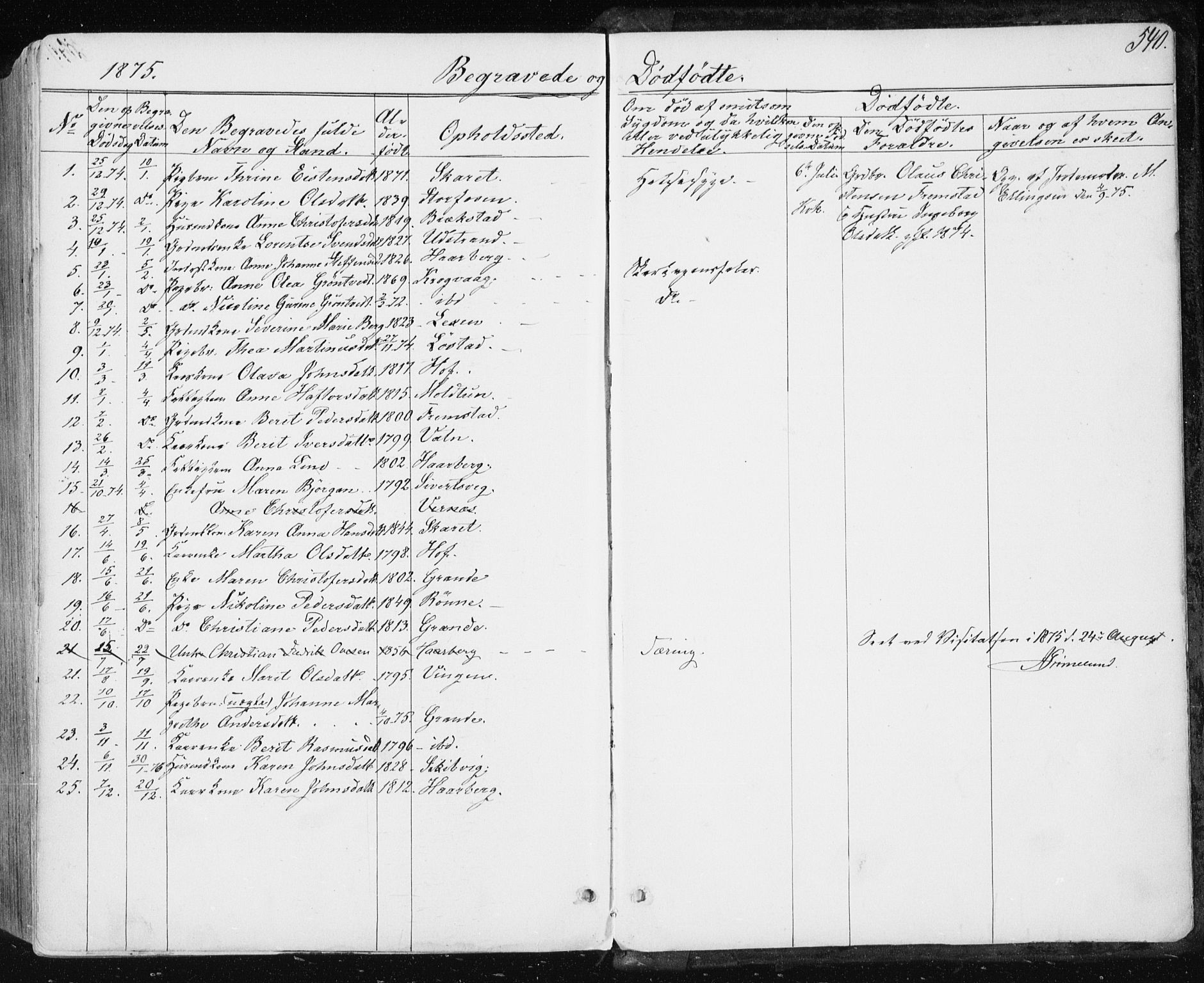 Ministerialprotokoller, klokkerbøker og fødselsregistre - Sør-Trøndelag, AV/SAT-A-1456/659/L0737: Ministerialbok nr. 659A07, 1857-1875, s. 540