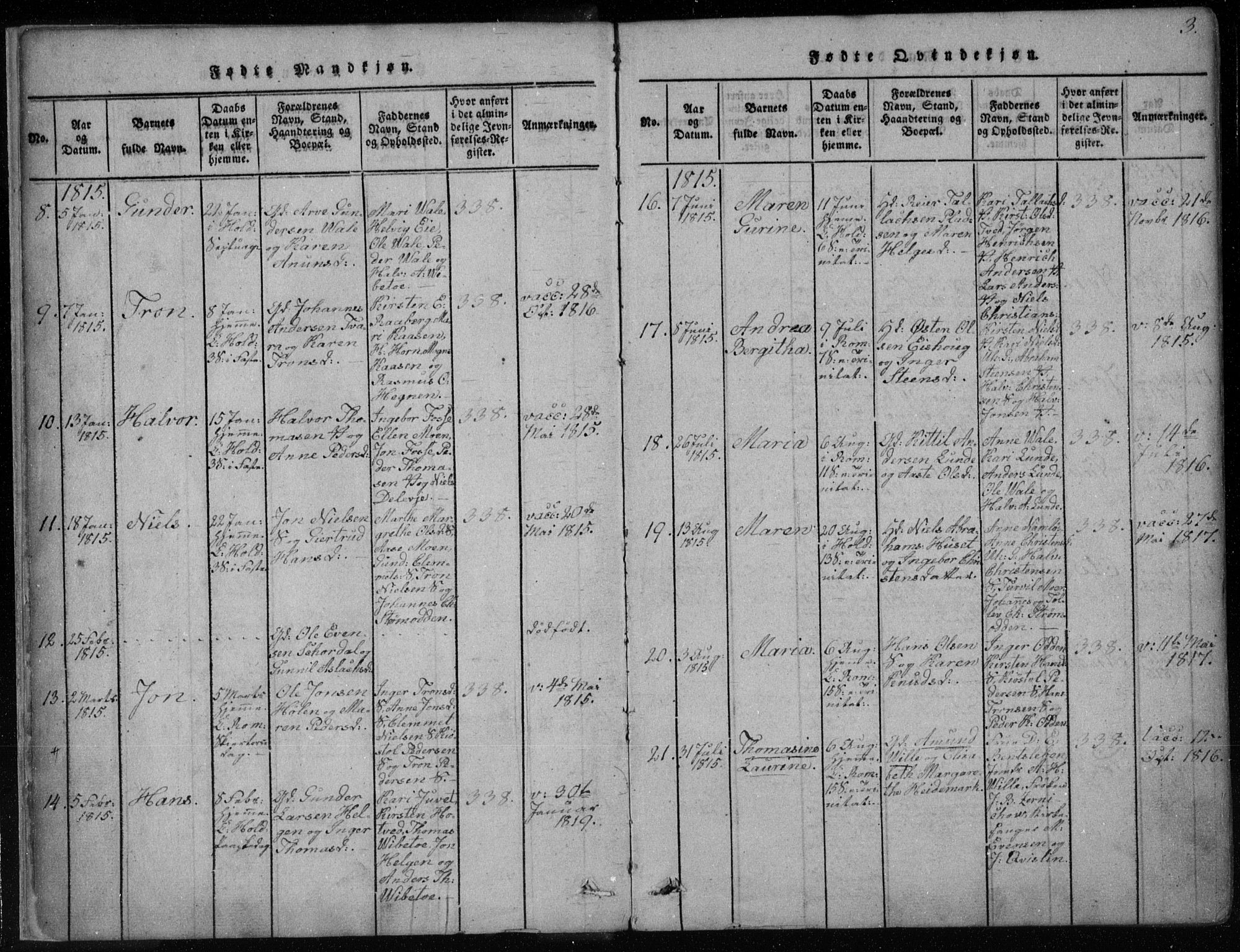 Holla kirkebøker, AV/SAKO-A-272/F/Fa/L0003: Ministerialbok nr. 3, 1815-1830, s. 3