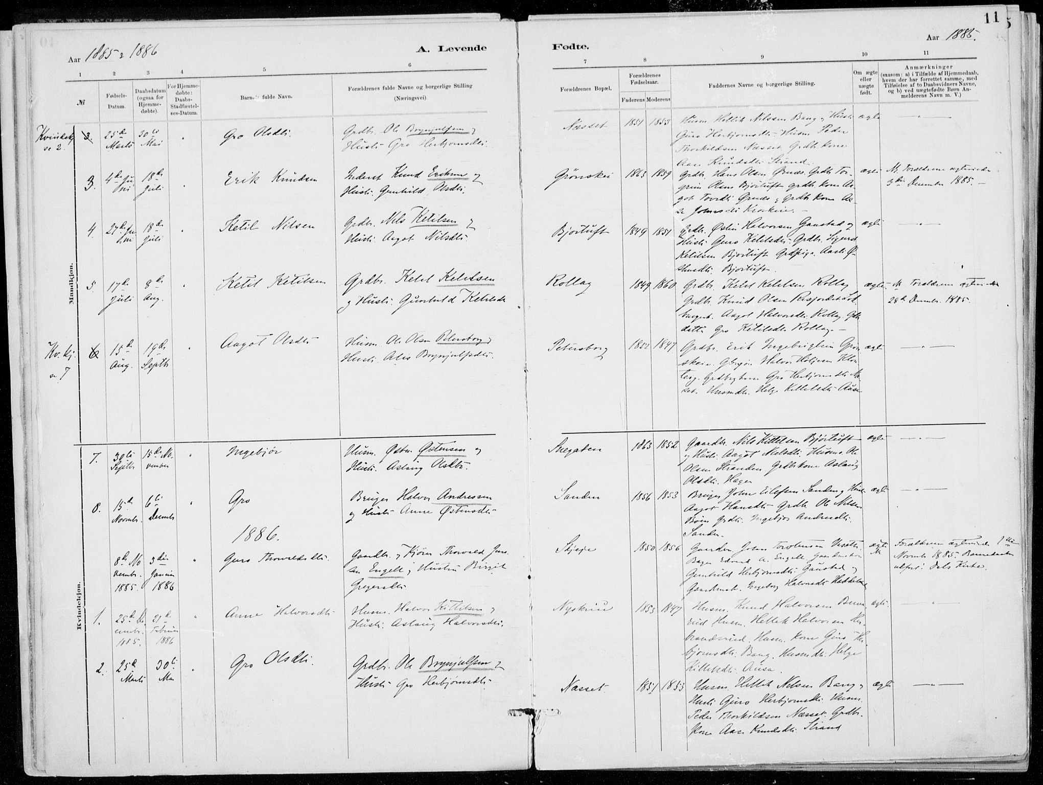 Tinn kirkebøker, AV/SAKO-A-308/F/Fb/L0002: Ministerialbok nr. II 2, 1878-1917, s. 11