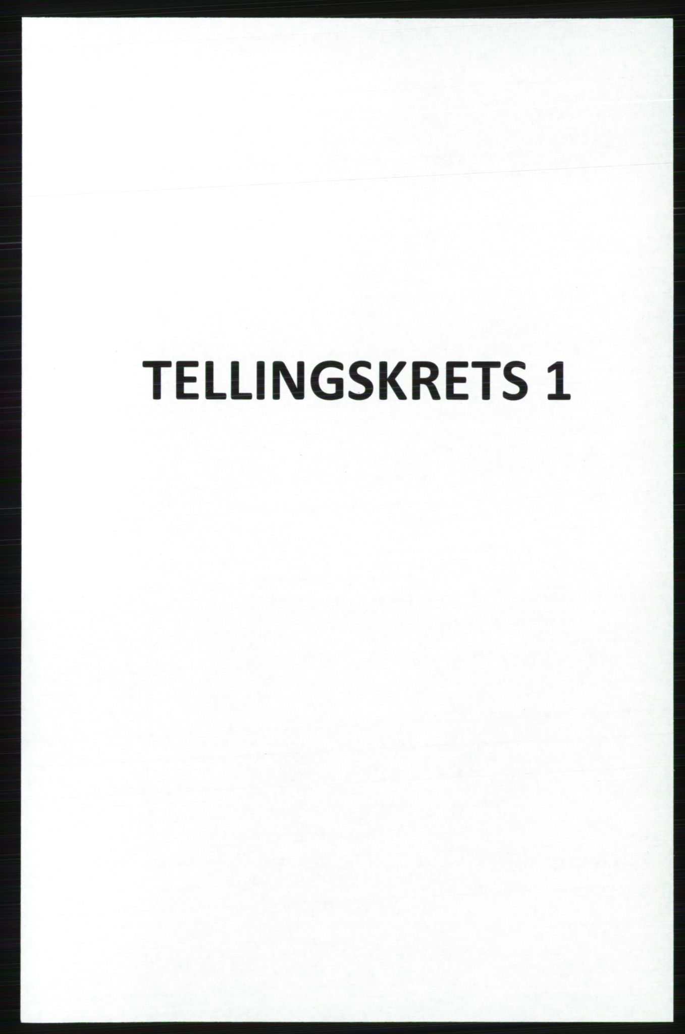 SATØ, Folketelling 1920 for 2023 Gamvik herred, 1920, s. 593