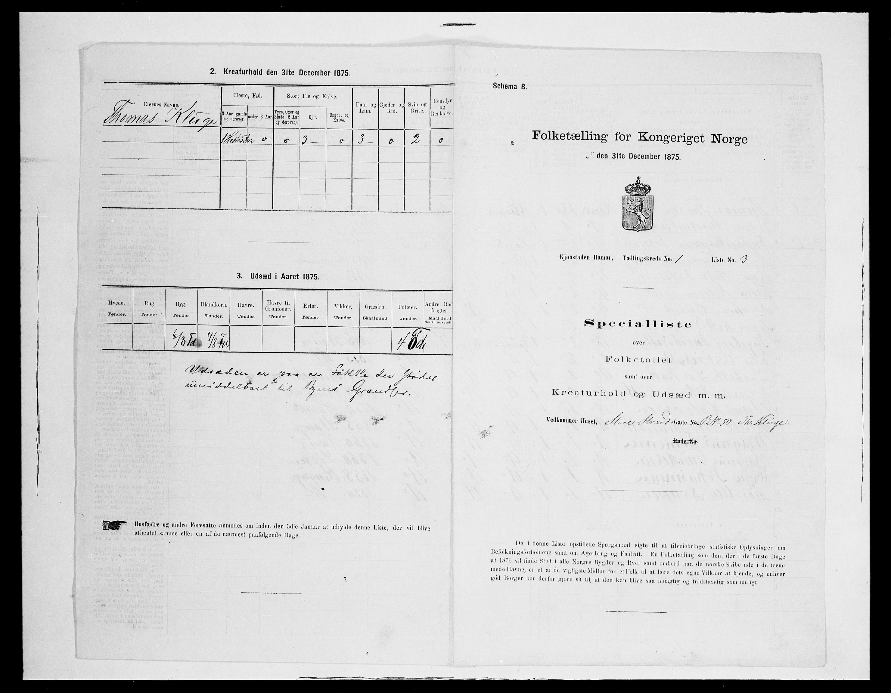 SAH, Folketelling 1875 for 0401B Vang prestegjeld, Hamar kjøpstad, 1875, s. 14