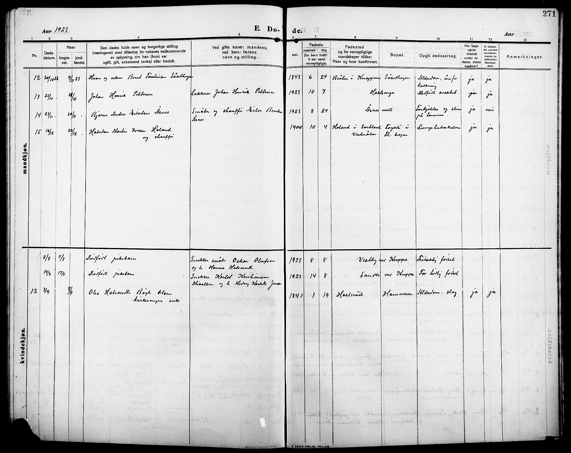 Åsnes prestekontor, AV/SAH-PREST-042/H/Ha/Hab/L0007: Klokkerbok nr. 7, 1909-1926, s. 271