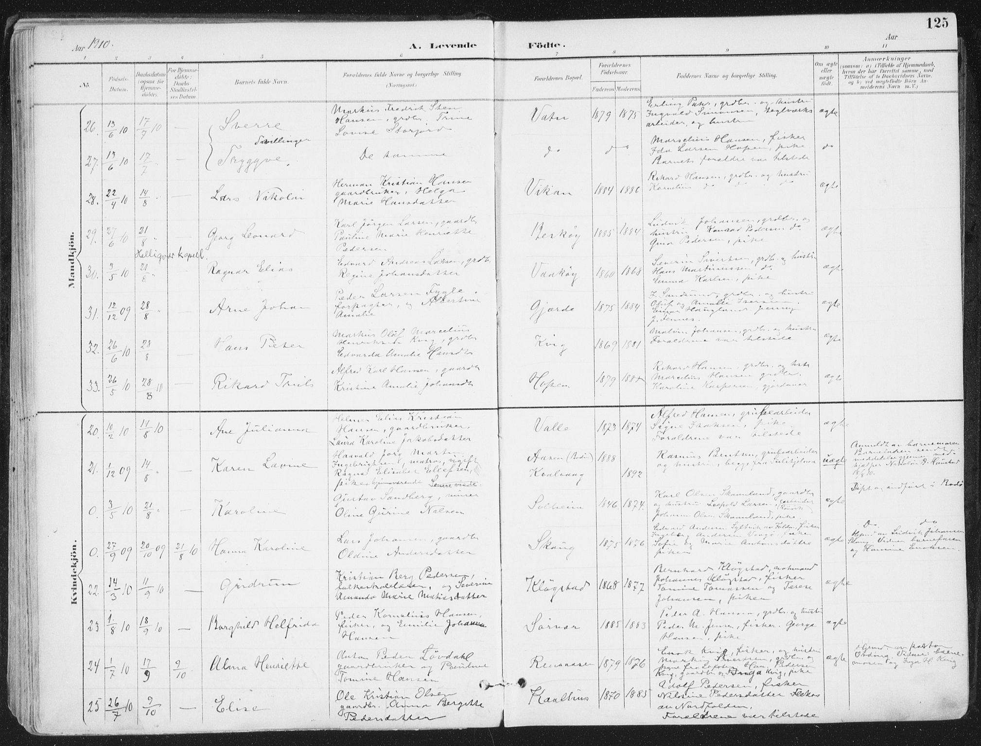 Ministerialprotokoller, klokkerbøker og fødselsregistre - Nordland, AV/SAT-A-1459/802/L0055: Ministerialbok nr. 802A02, 1894-1915, s. 125