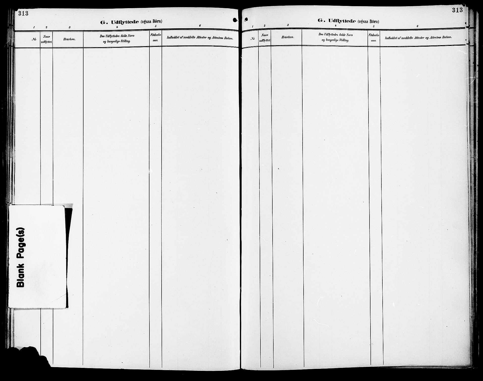 Vang prestekontor, Hedmark, AV/SAH-PREST-008/H/Ha/Haa/L0017: Ministerialbok nr. 17, 1890-1899, s. 313