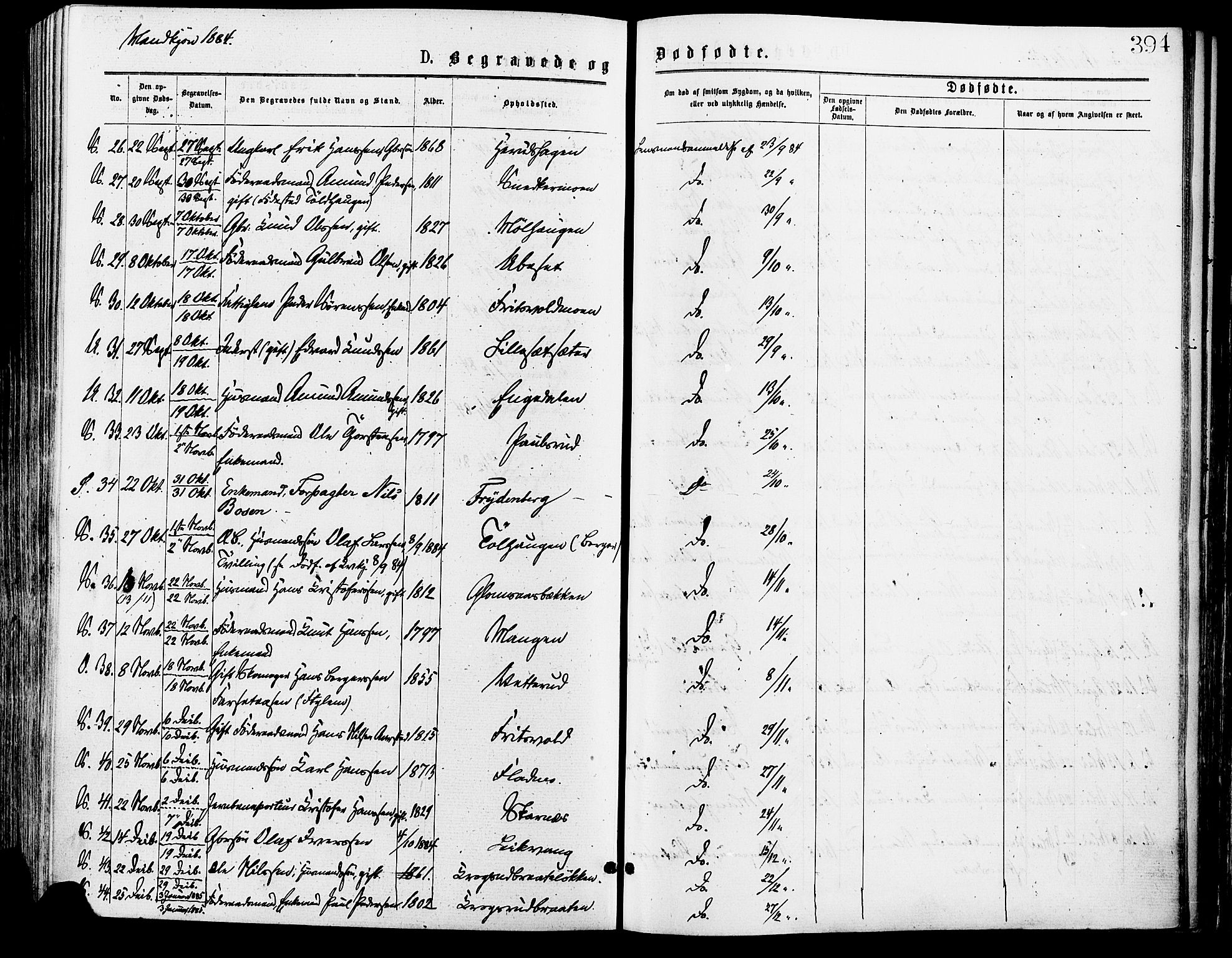 Sør-Odal prestekontor, AV/SAH-PREST-030/H/Ha/Haa/L0005: Ministerialbok nr. 5, 1876-1885, s. 394