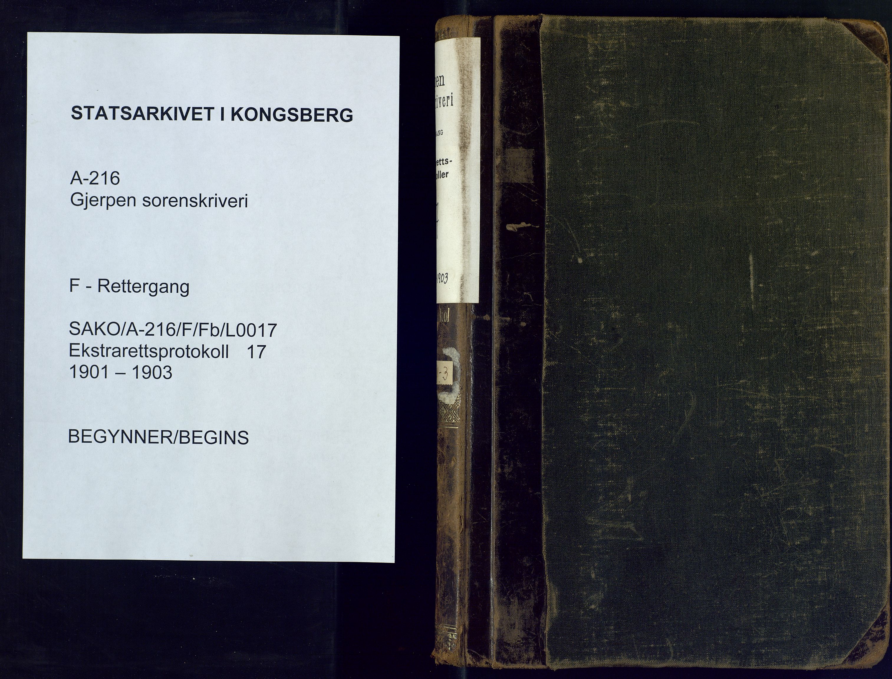 Gjerpen sorenskriveri, SAKO/A-216/F/Fb/L0017: Ekstrarettsprotokoll, 1901-1903