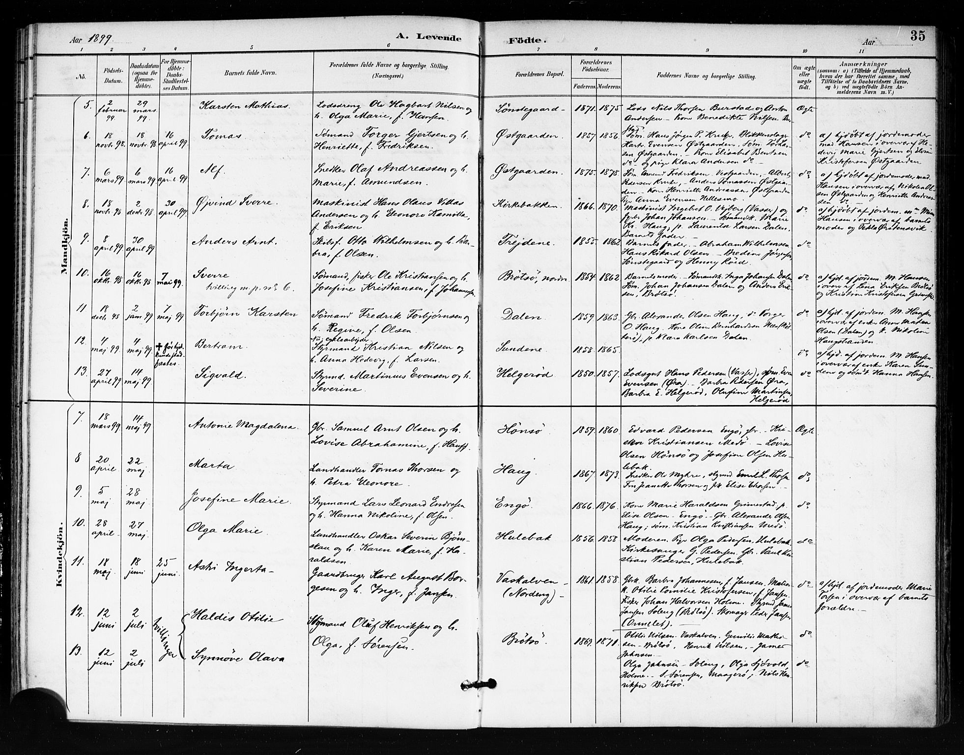 Tjøme kirkebøker, AV/SAKO-A-328/F/Fa/L0003: Ministerialbok nr. I 3, 1891-1900, s. 35