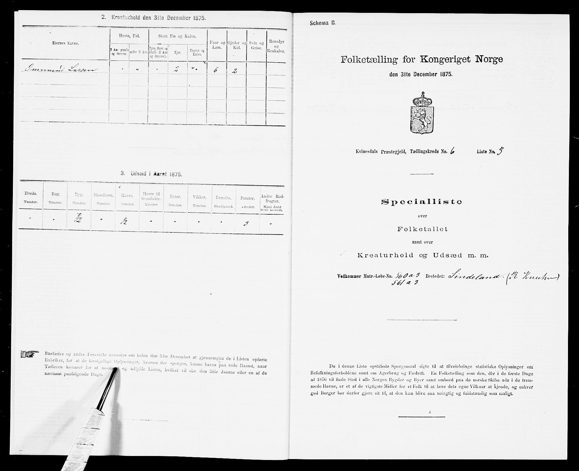 SAK, Folketelling 1875 for 1037P Kvinesdal prestegjeld, 1875, s. 917