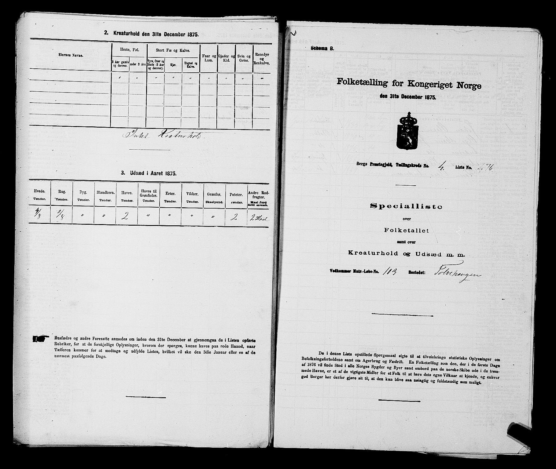RA, Folketelling 1875 for 0116P Berg prestegjeld, 1875, s. 675