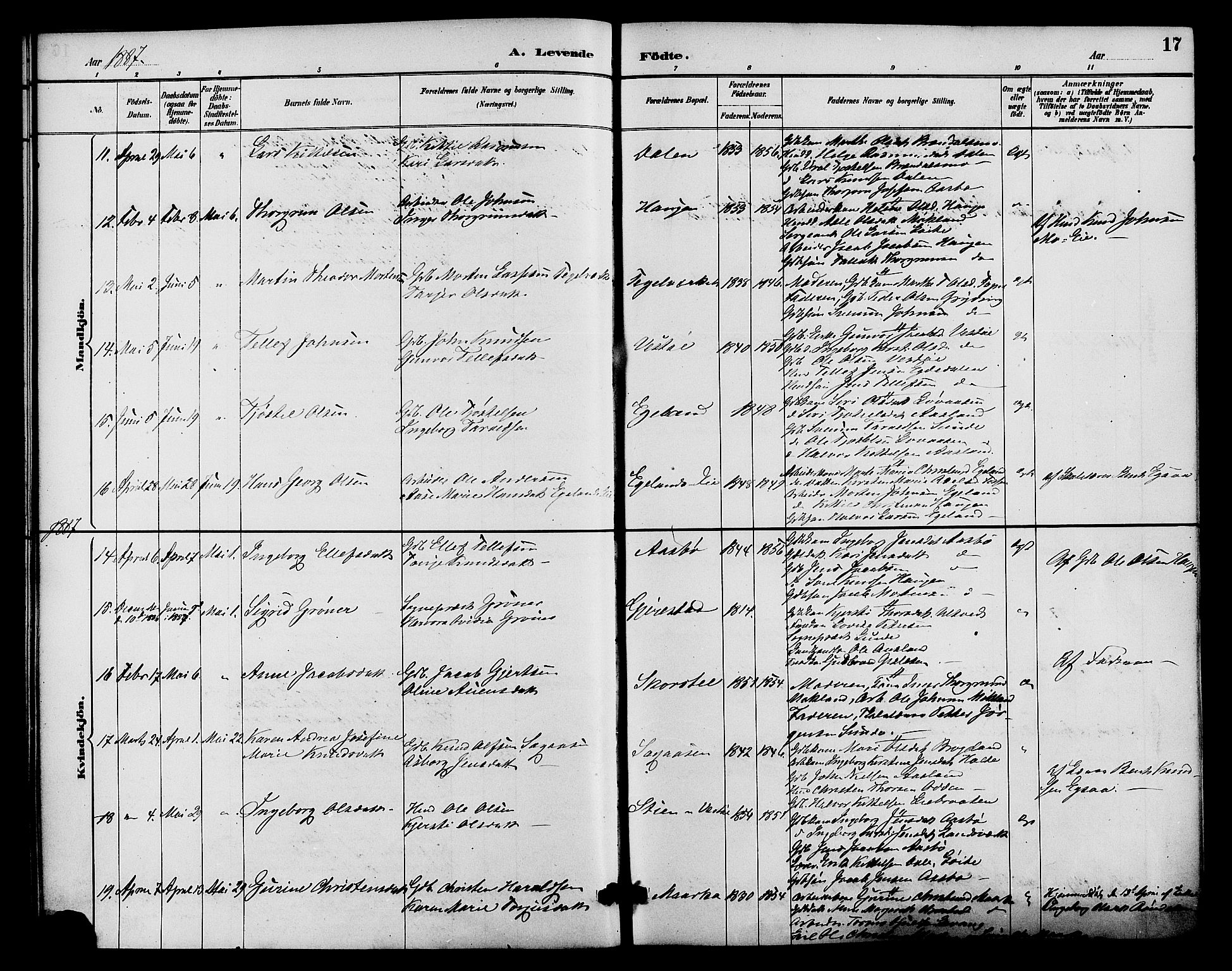 Gjerstad sokneprestkontor, SAK/1111-0014/F/Fa/Faa/L0009: Ministerialbok nr. A 9, 1885-1890, s. 17