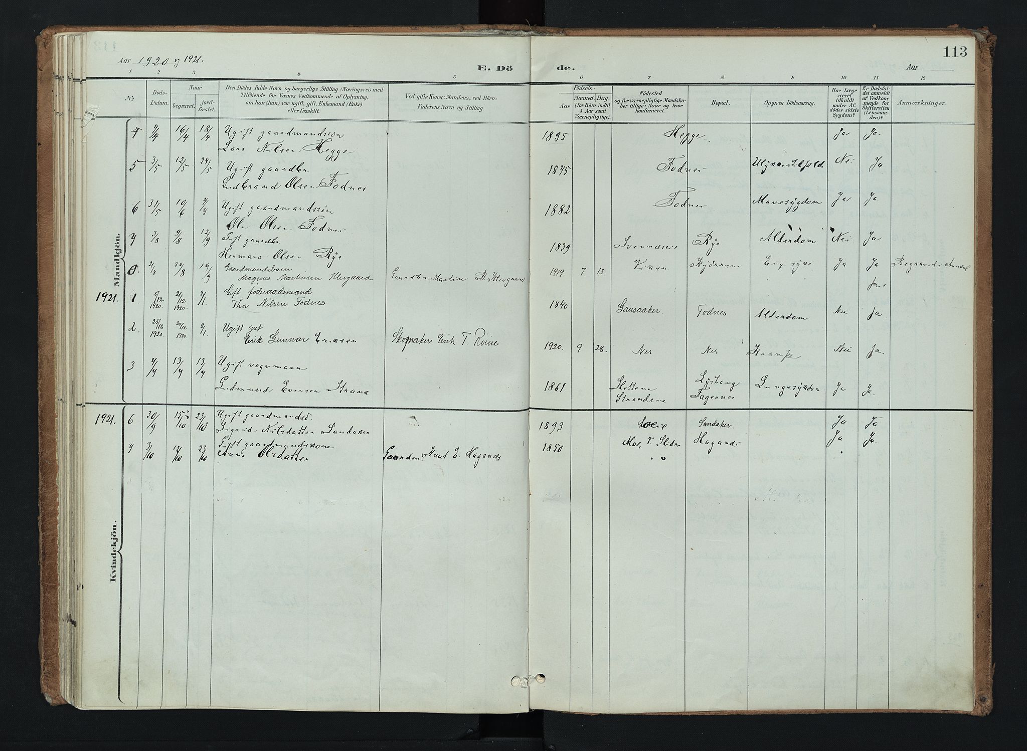 Nord-Aurdal prestekontor, SAH/PREST-132/H/Ha/Haa/L0016: Ministerialbok nr. 16, 1897-1925, s. 113