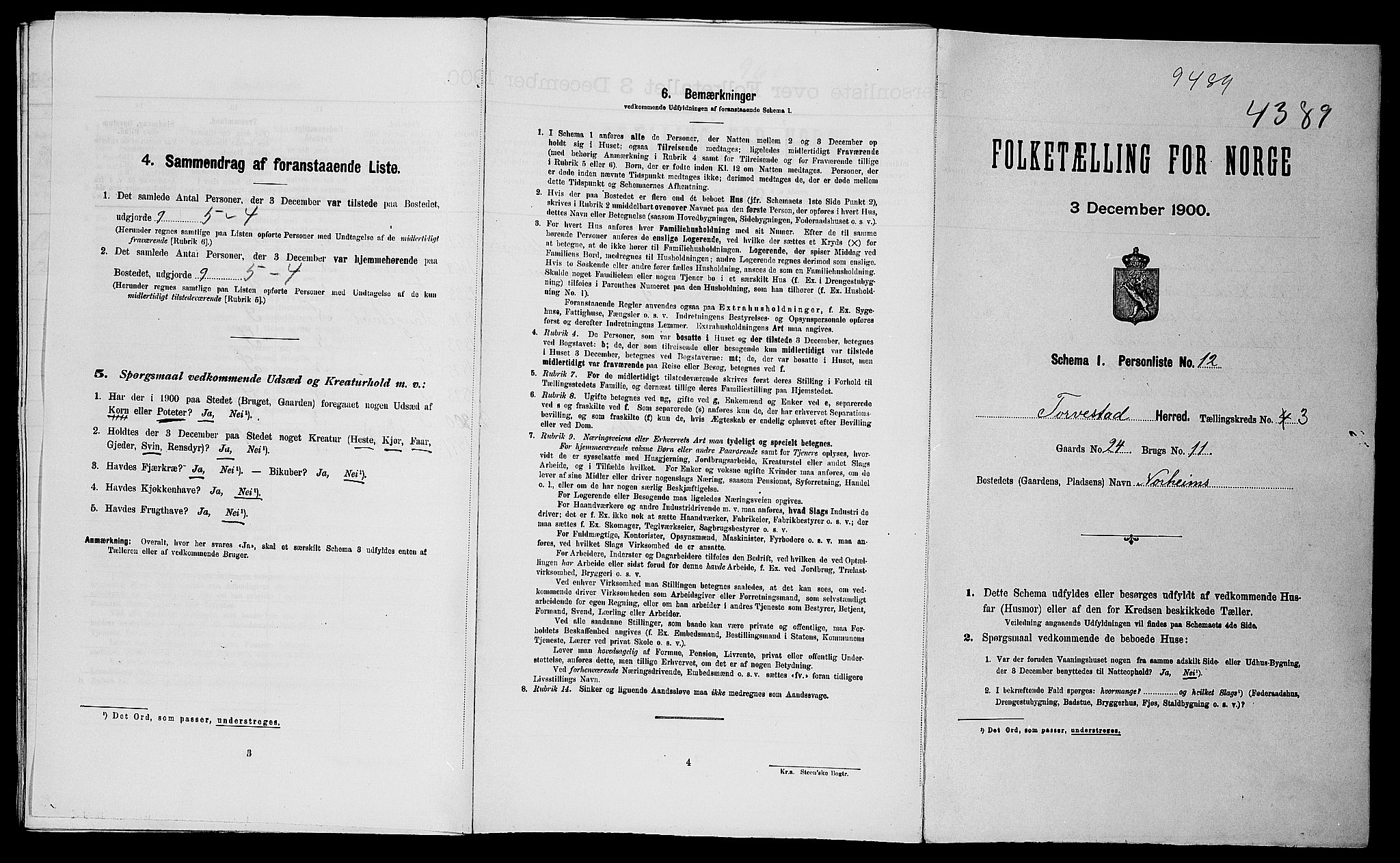 SAST, Folketelling 1900 for 1152 Torvastad herred, 1900, s. 41