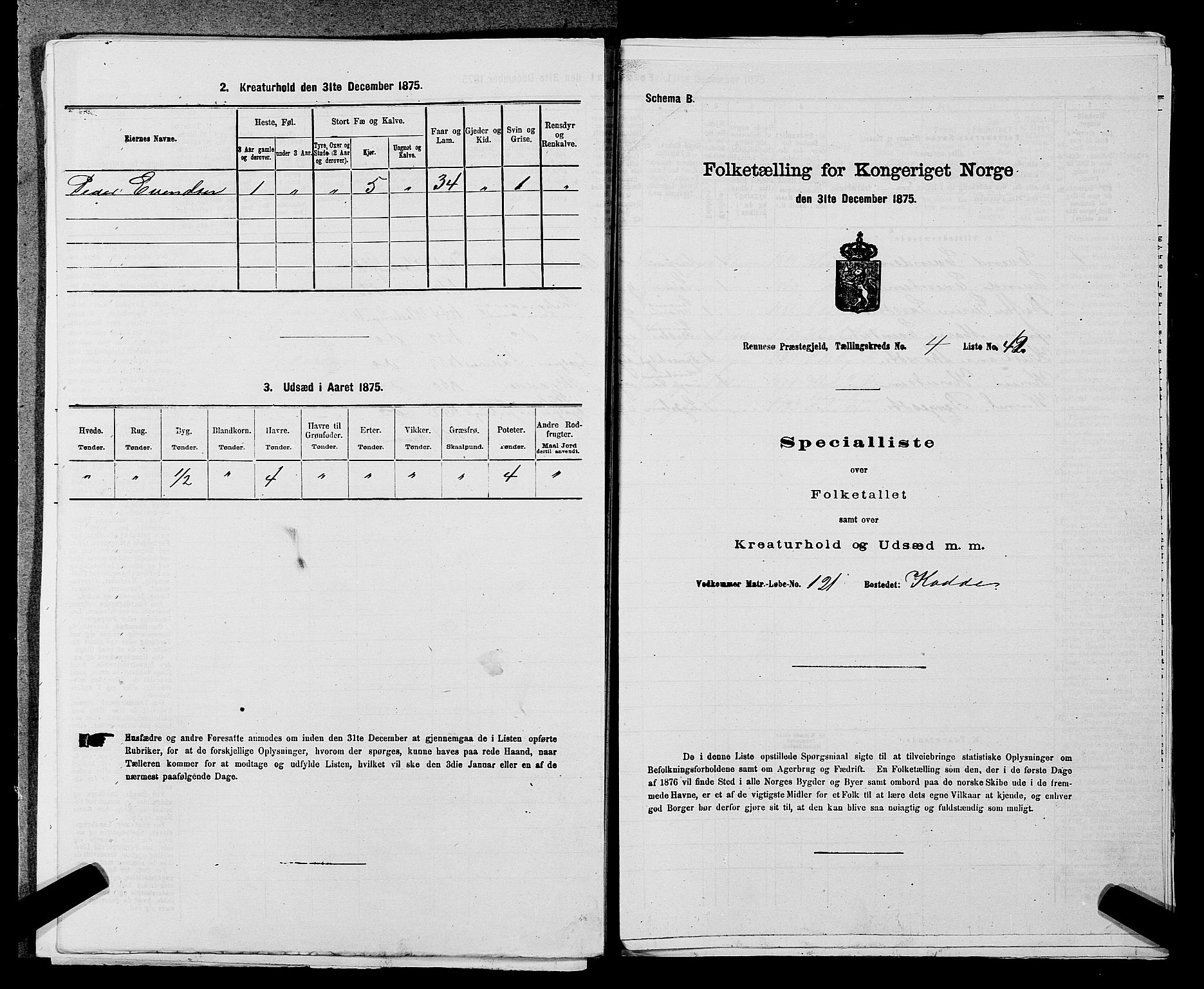 SAST, Folketelling 1875 for 1142P Rennesøy prestegjeld, 1875, s. 513