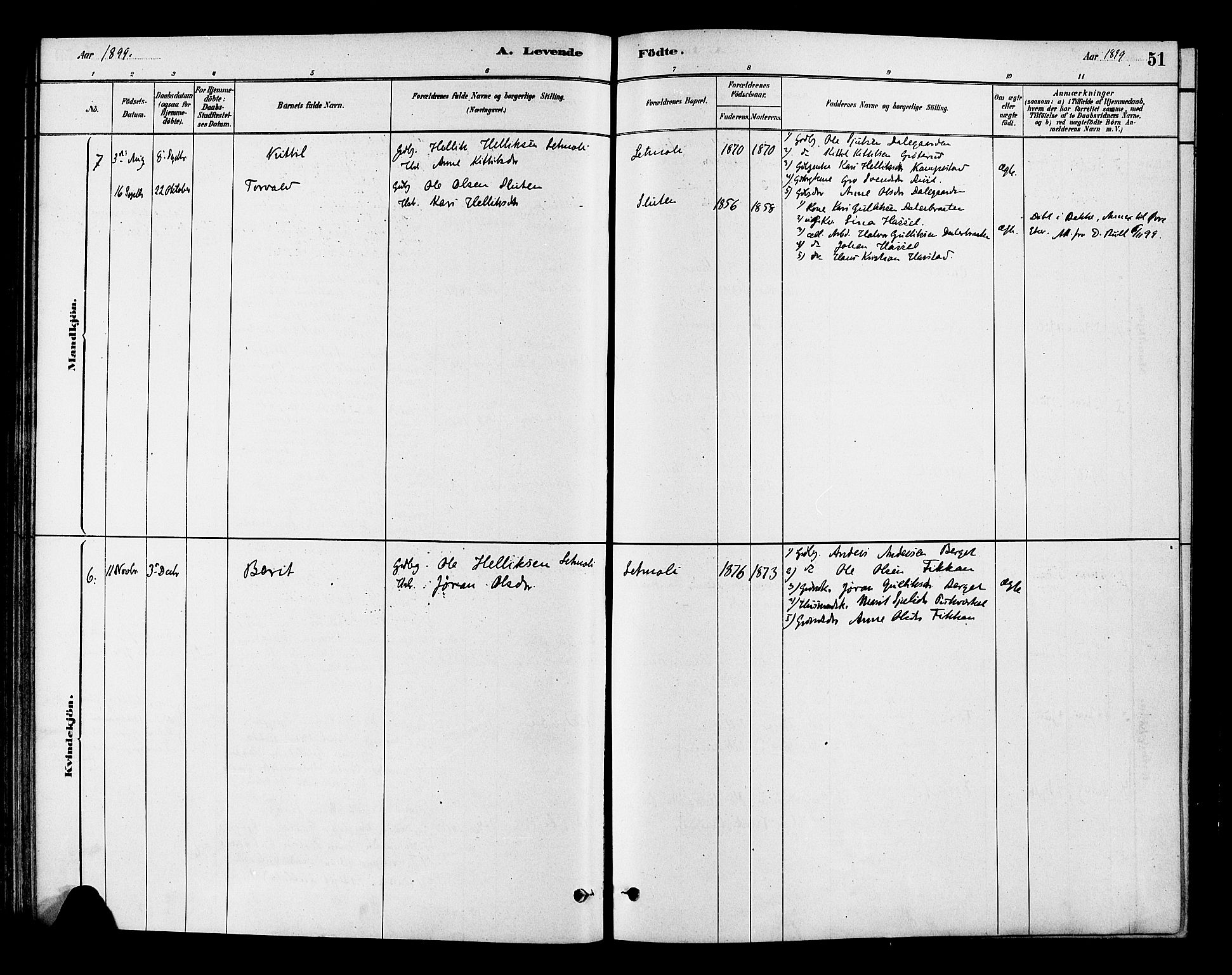 Flesberg kirkebøker, SAKO/A-18/F/Fc/L0001: Ministerialbok nr. III 1, 1879-1905, s. 51