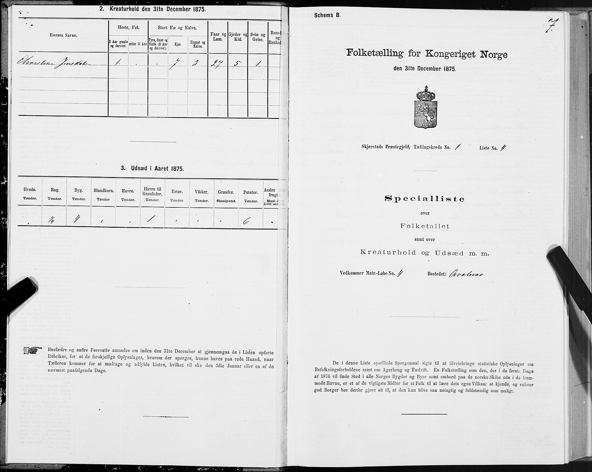 SAT, Folketelling 1875 for 1842P Skjerstad prestegjeld, 1875, s. 1007