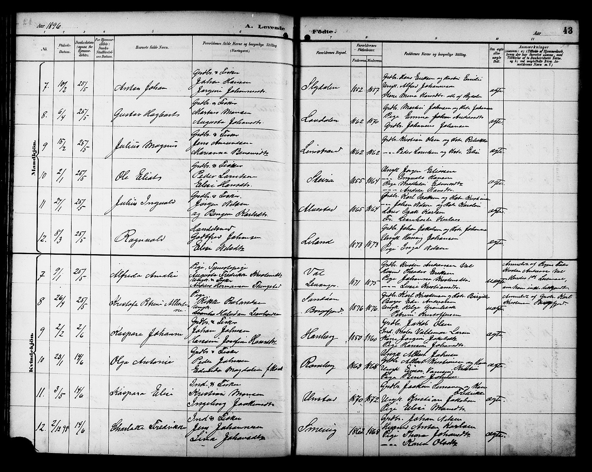 Ministerialprotokoller, klokkerbøker og fødselsregistre - Nordland, AV/SAT-A-1459/880/L1141: Klokkerbok nr. 880C03, 1893-1928, s. 43