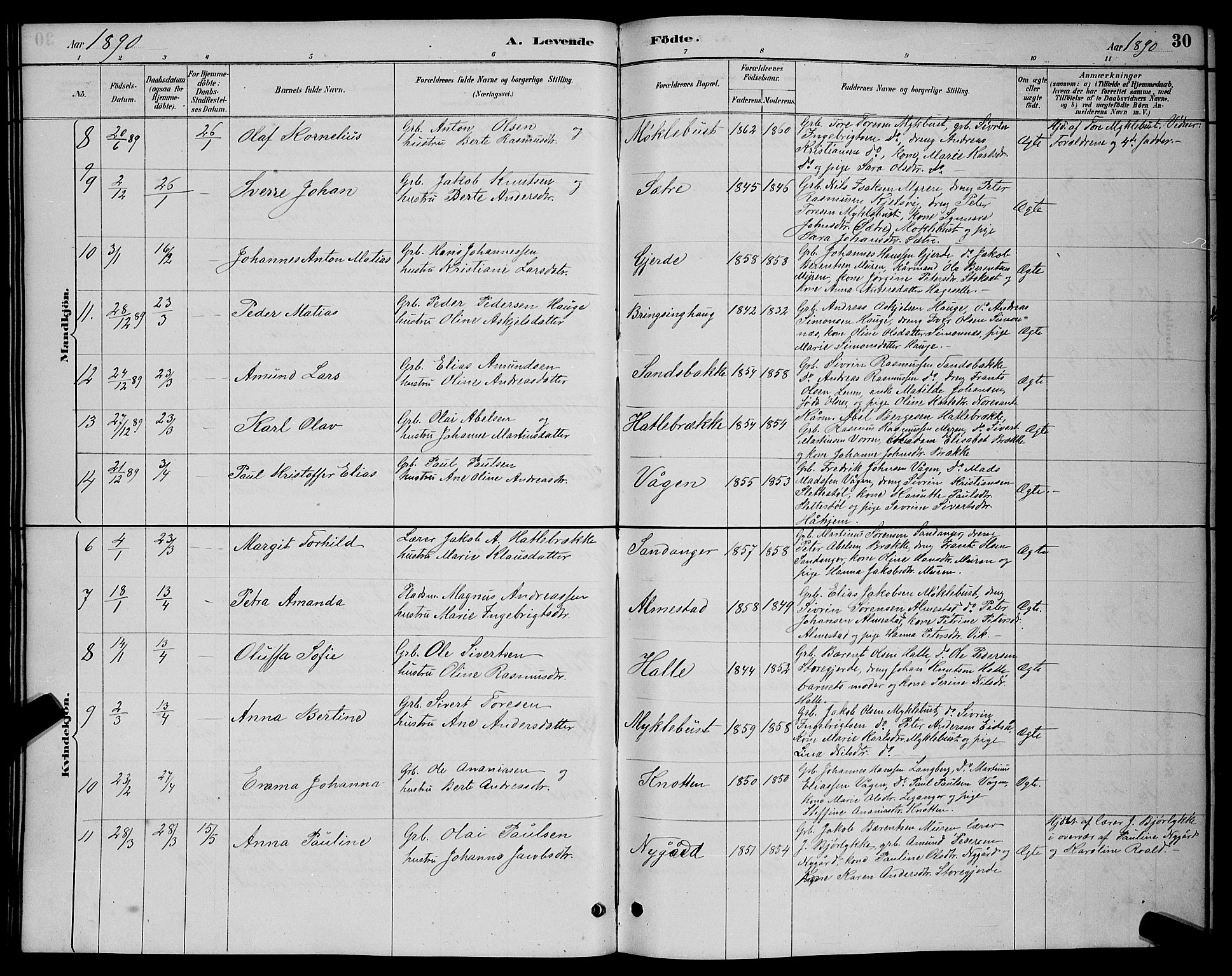 Ministerialprotokoller, klokkerbøker og fødselsregistre - Møre og Romsdal, AV/SAT-A-1454/503/L0048: Klokkerbok nr. 503C03, 1885-1893, s. 30