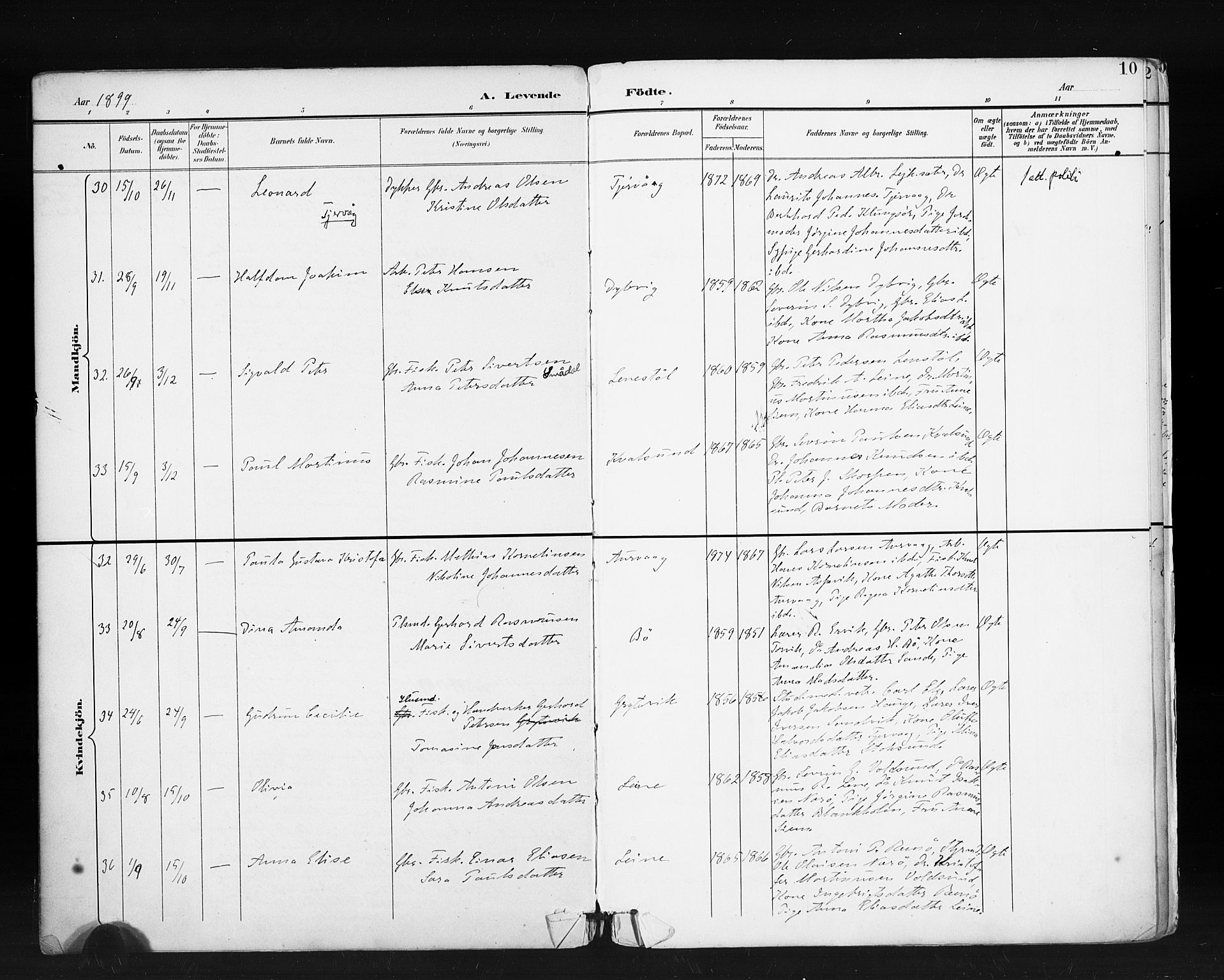 Ministerialprotokoller, klokkerbøker og fødselsregistre - Møre og Romsdal, AV/SAT-A-1454/507/L0074: Ministerialbok nr. 507A09, 1894-1900, s. 10