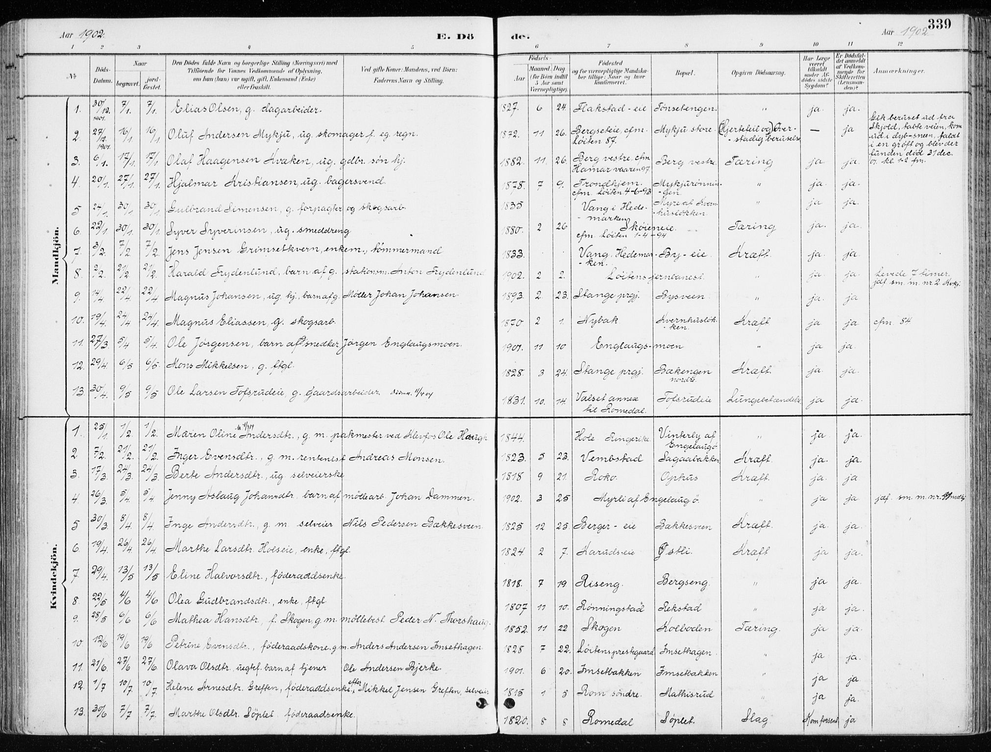 Løten prestekontor, AV/SAH-PREST-022/K/Ka/L0010: Ministerialbok nr. 10, 1892-1907, s. 339