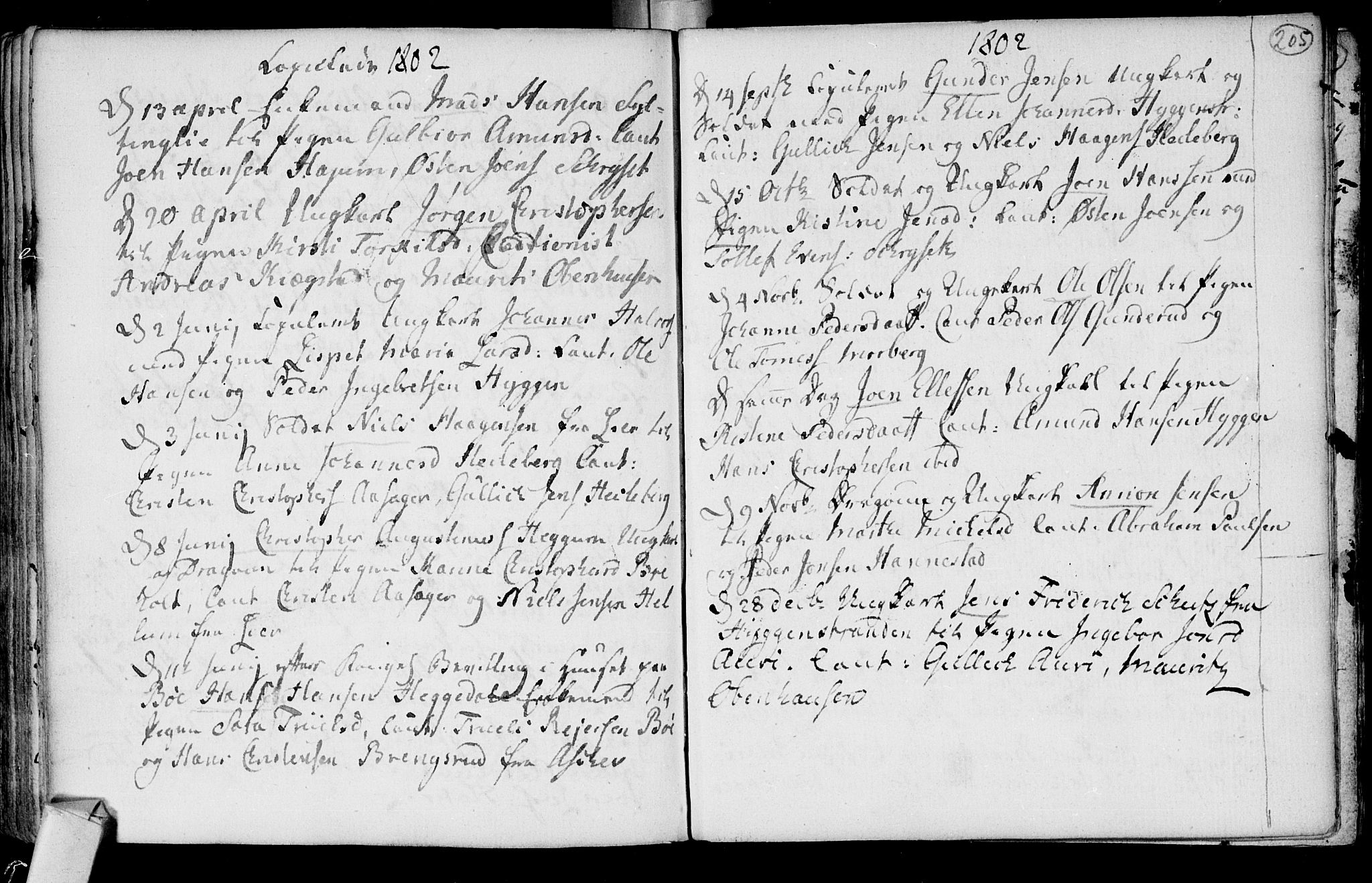 Røyken kirkebøker, AV/SAKO-A-241/F/Fa/L0003: Ministerialbok nr. 3, 1782-1813, s. 205