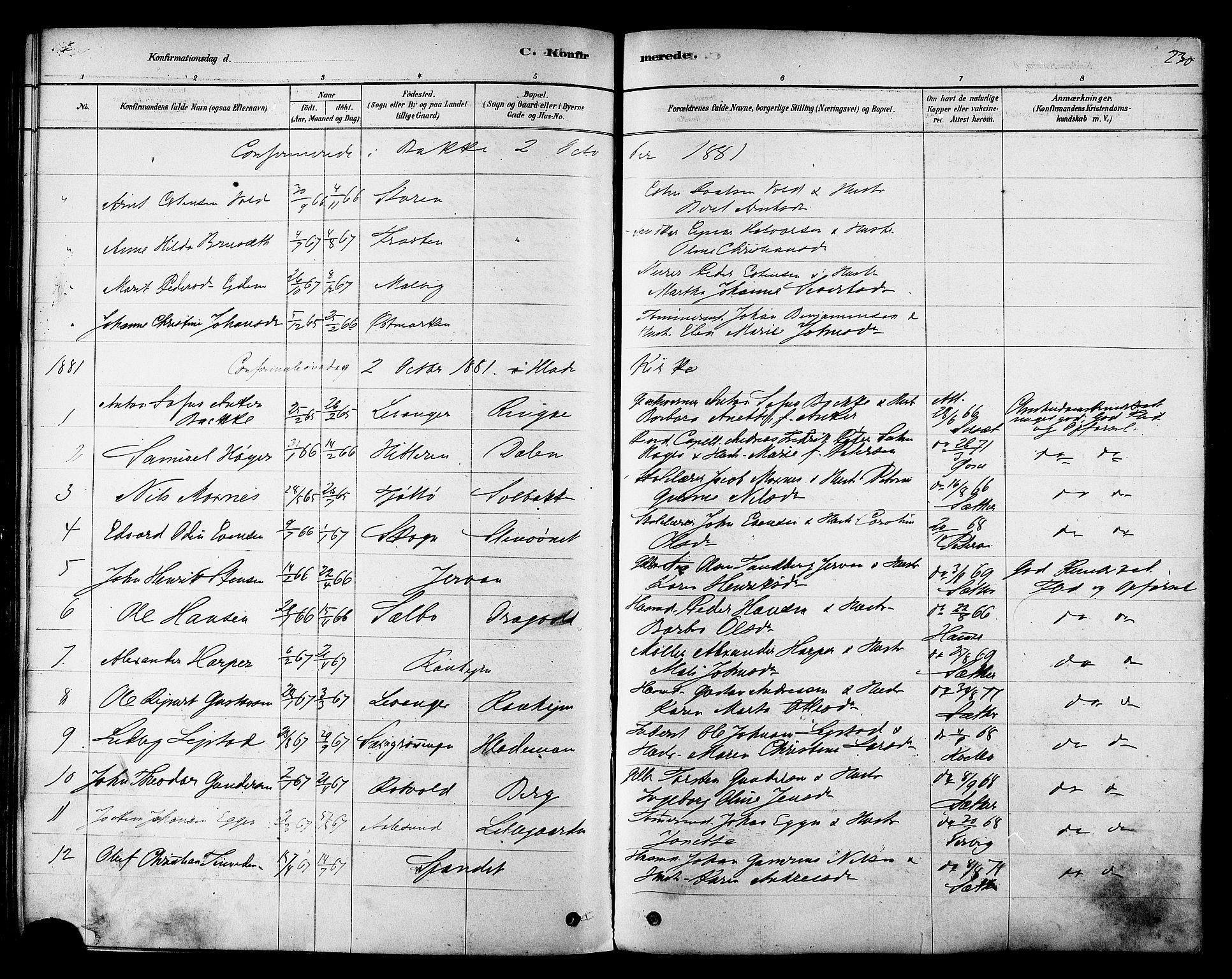 Ministerialprotokoller, klokkerbøker og fødselsregistre - Sør-Trøndelag, SAT/A-1456/606/L0294: Ministerialbok nr. 606A09, 1878-1886, s. 230