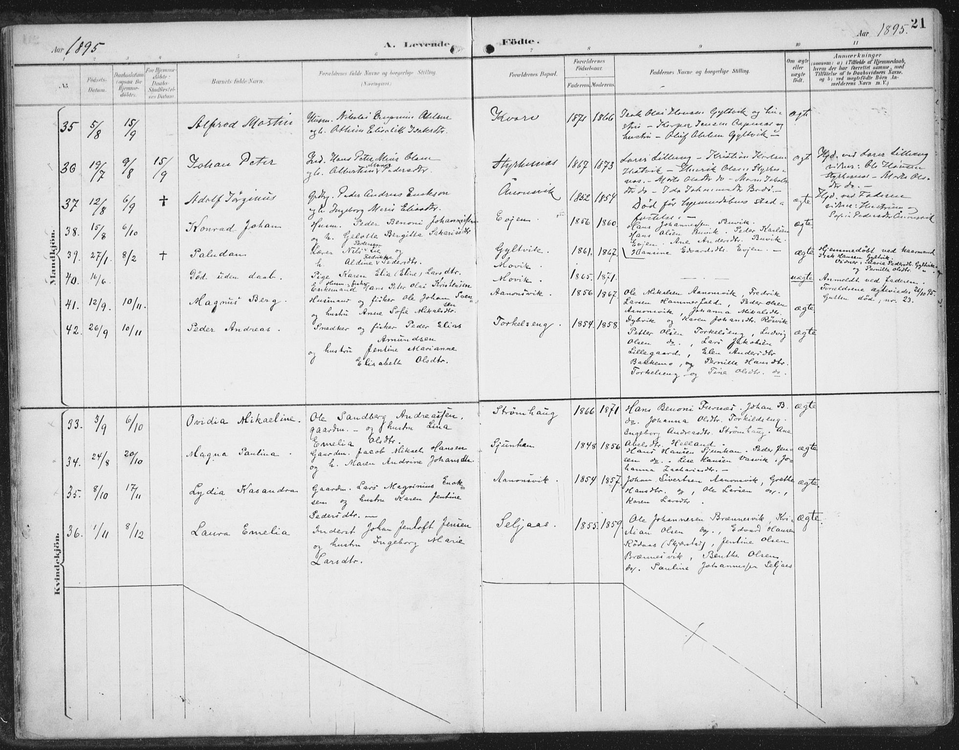 Ministerialprotokoller, klokkerbøker og fødselsregistre - Nordland, SAT/A-1459/854/L0779: Ministerialbok nr. 854A02, 1892-1909, s. 21