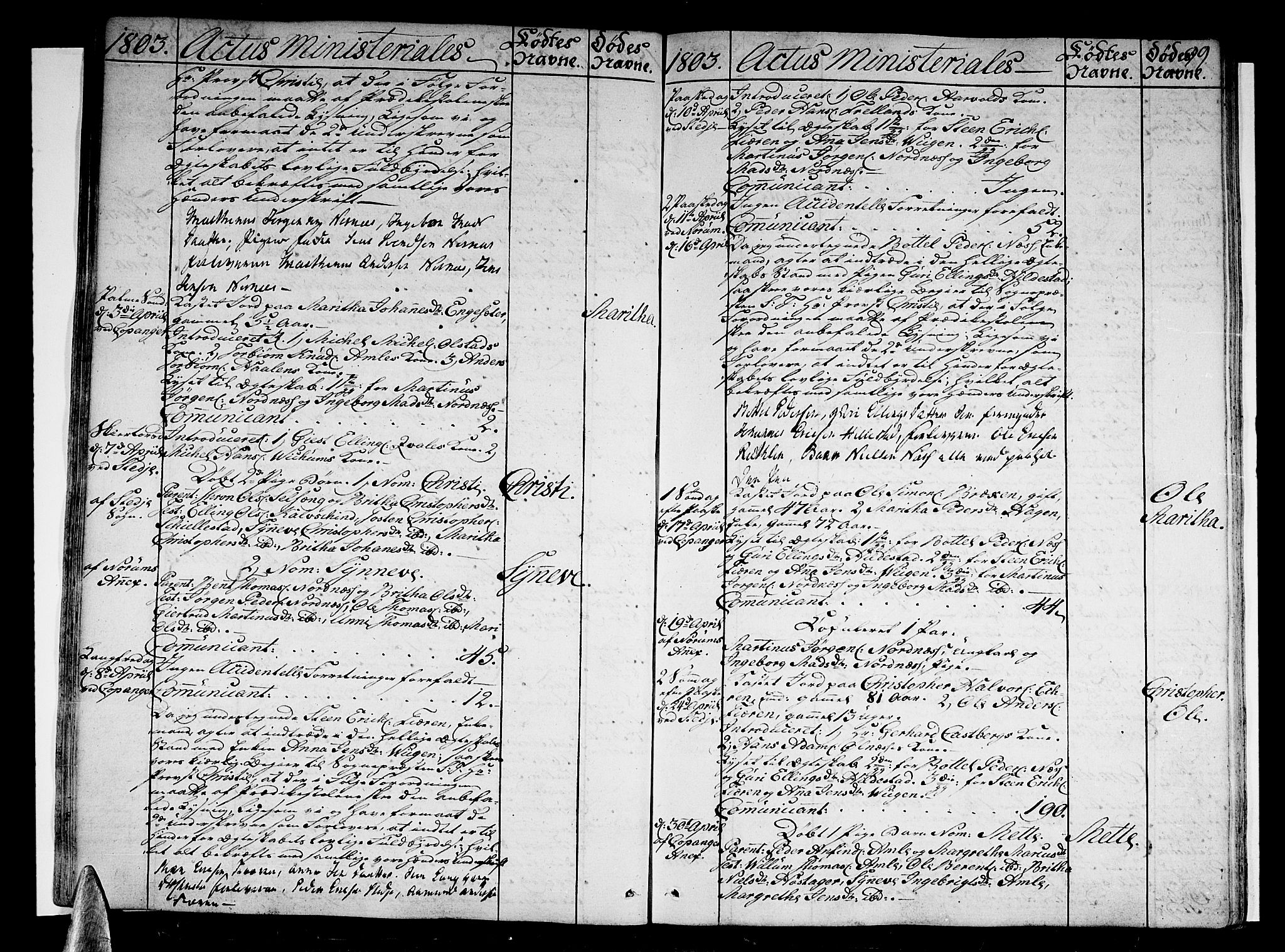 Sogndal sokneprestembete, AV/SAB-A-81301/H/Haa/Haaa/L0008: Ministerialbok nr. A 8, 1795-1809, s. 99